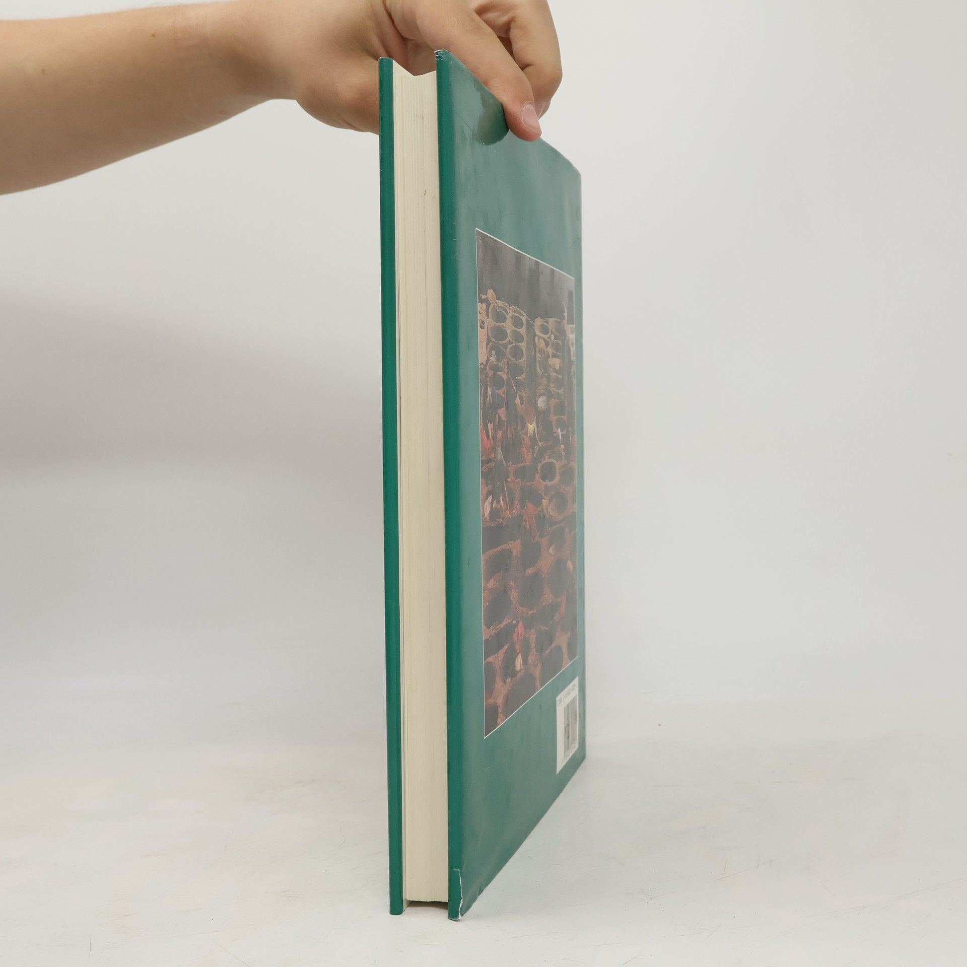 David Black The Atlas of Rugs & Carpets