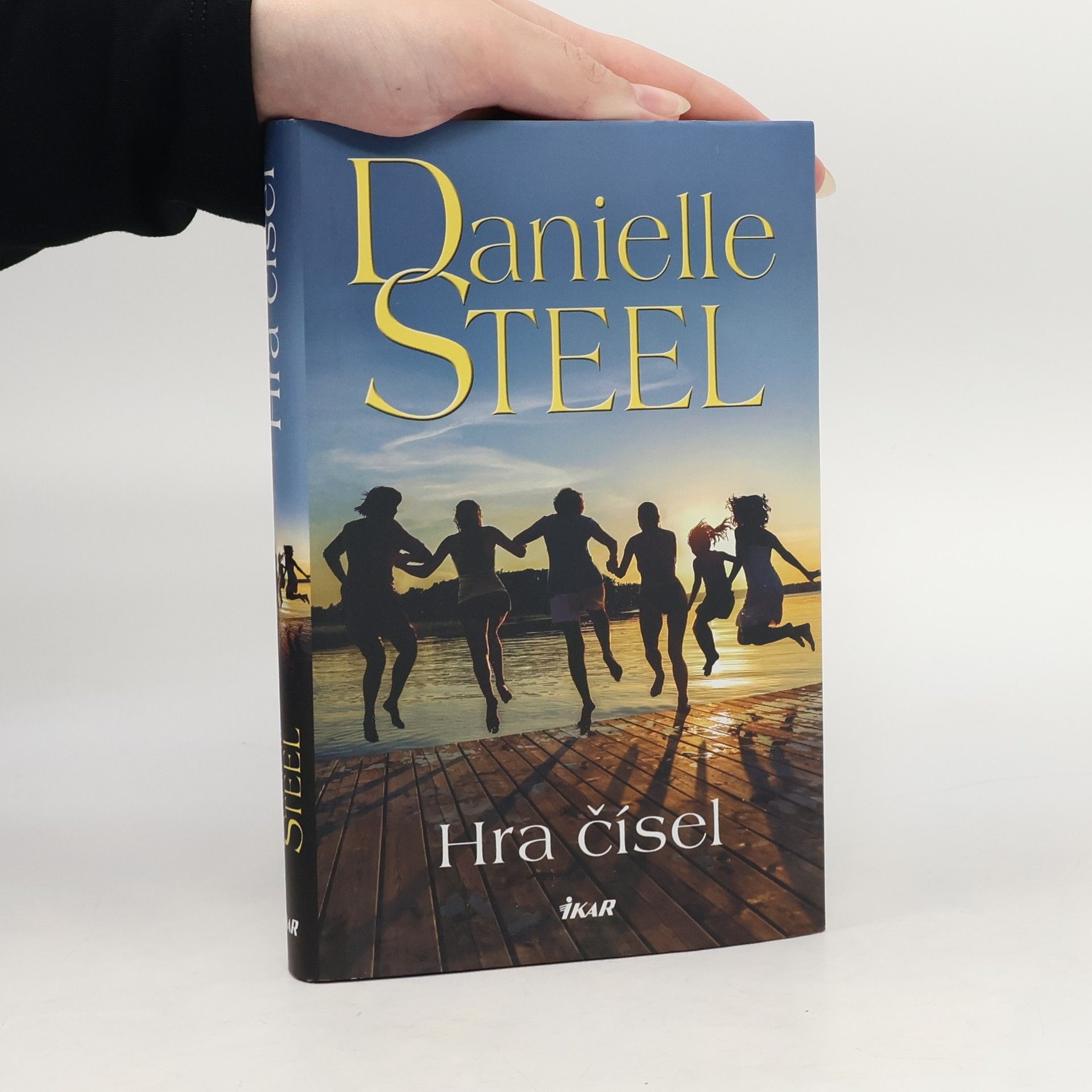 Danielle Steelová Hra čísel