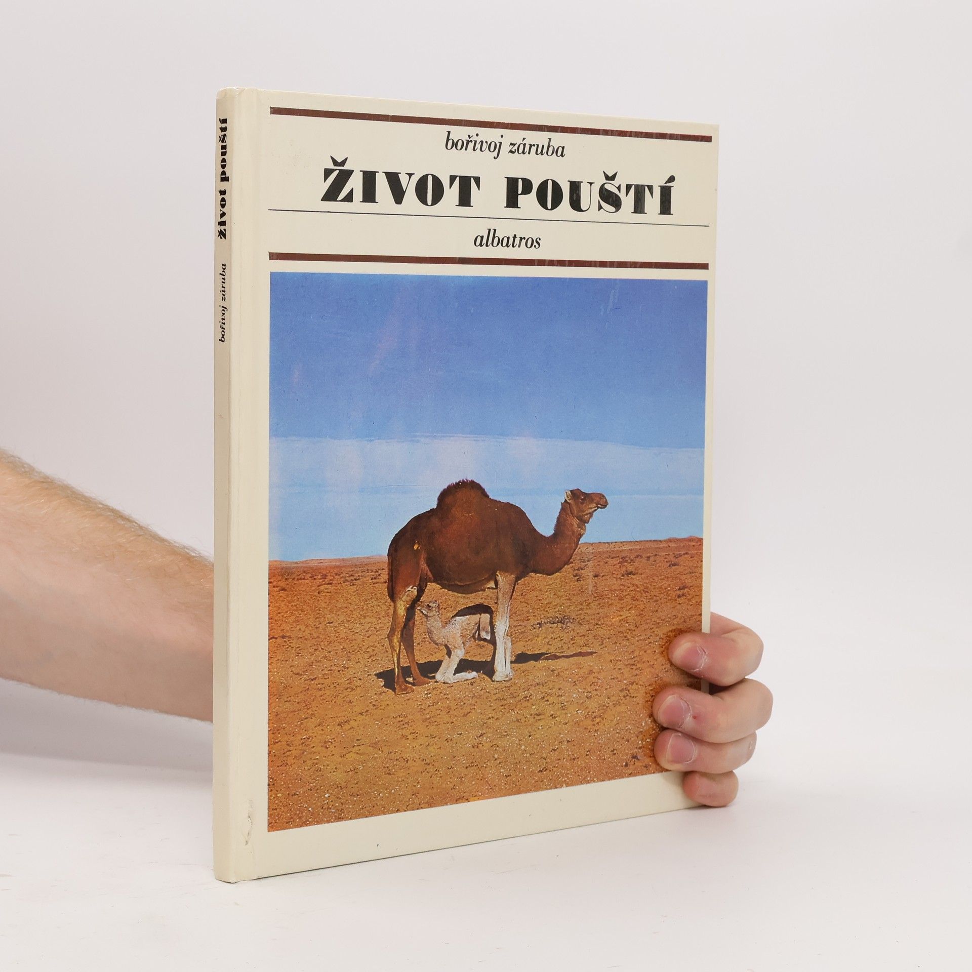 Život pouští