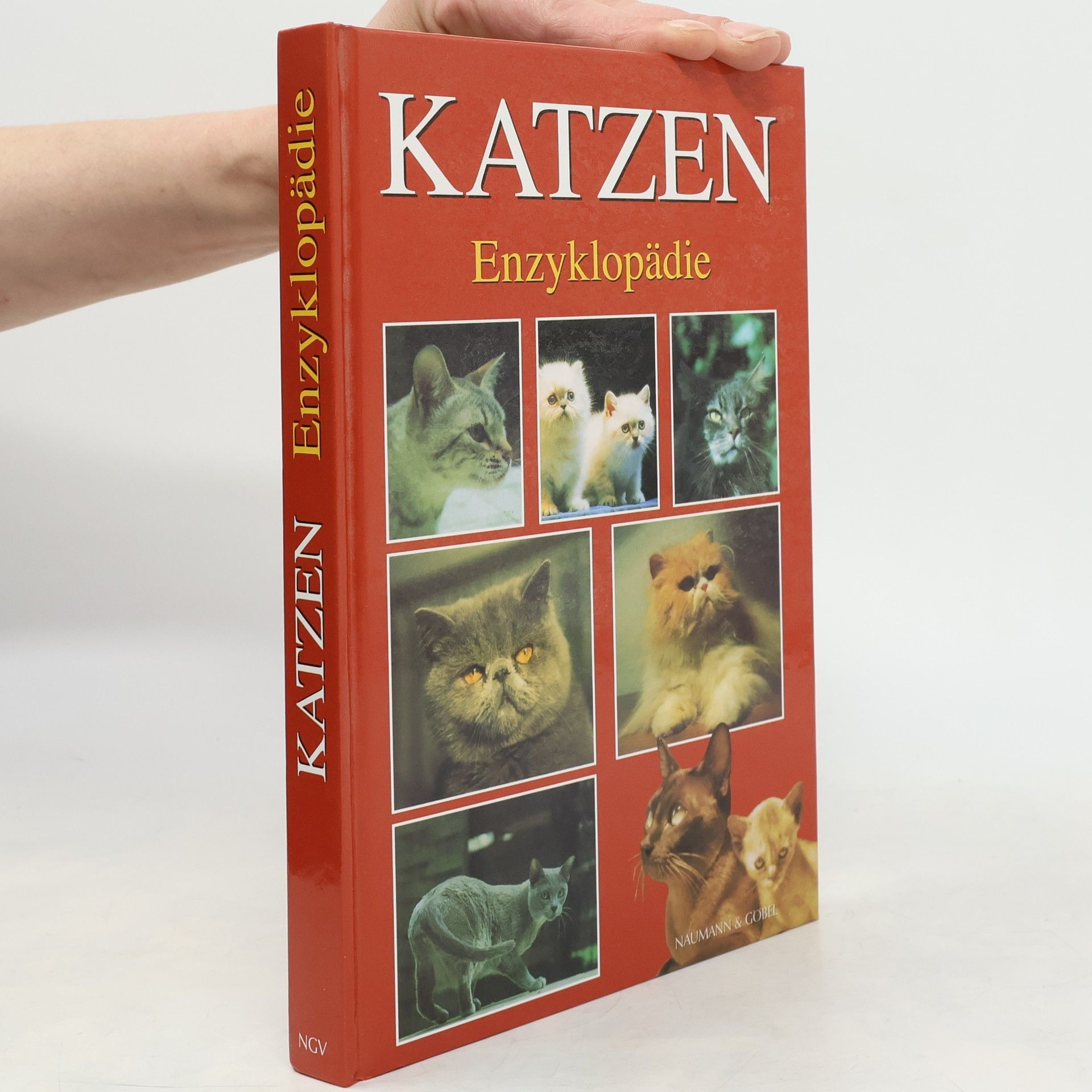 Esther Verhoef Katzen