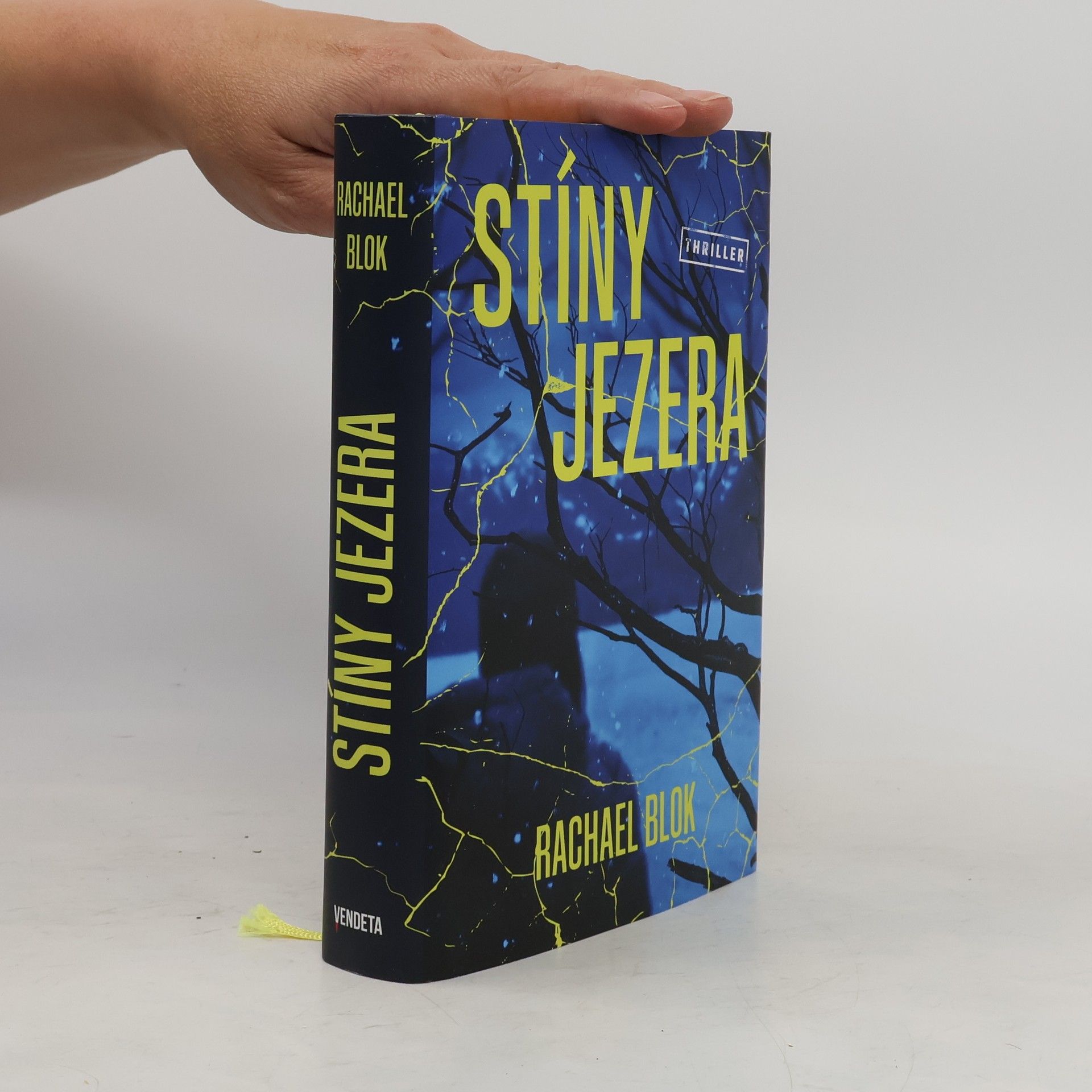 Rachael Blok Stíny jezera