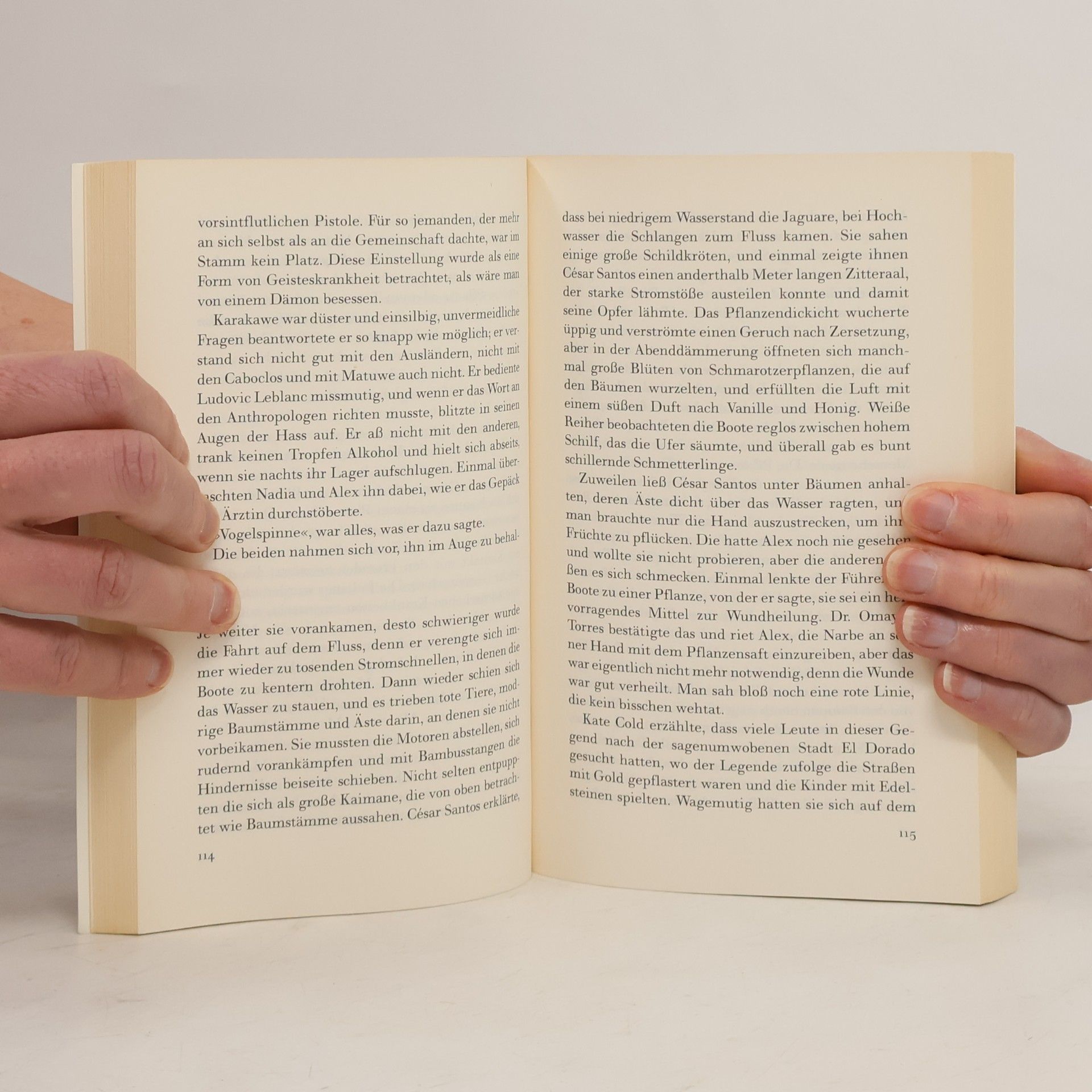 Isabel Allende Die Stadt der wilden Götter