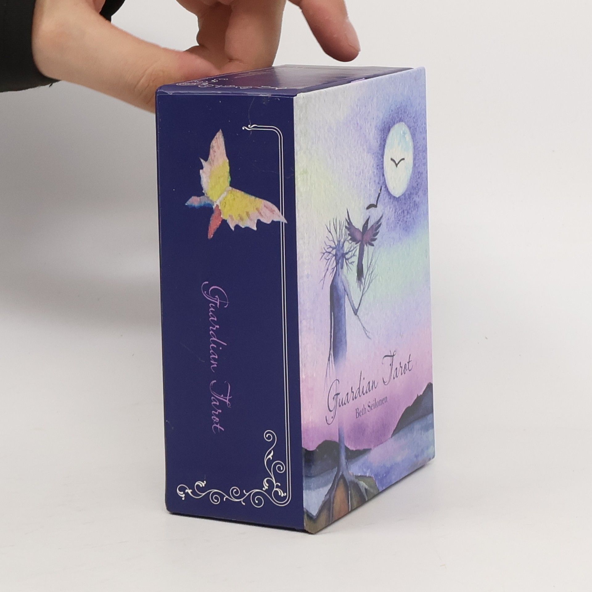 Beth Seilonen Guardian Tarot