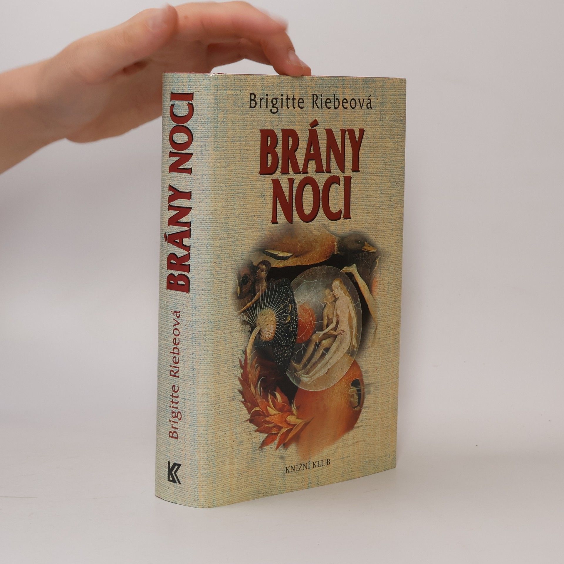 Brigitte Riebe Brány noci