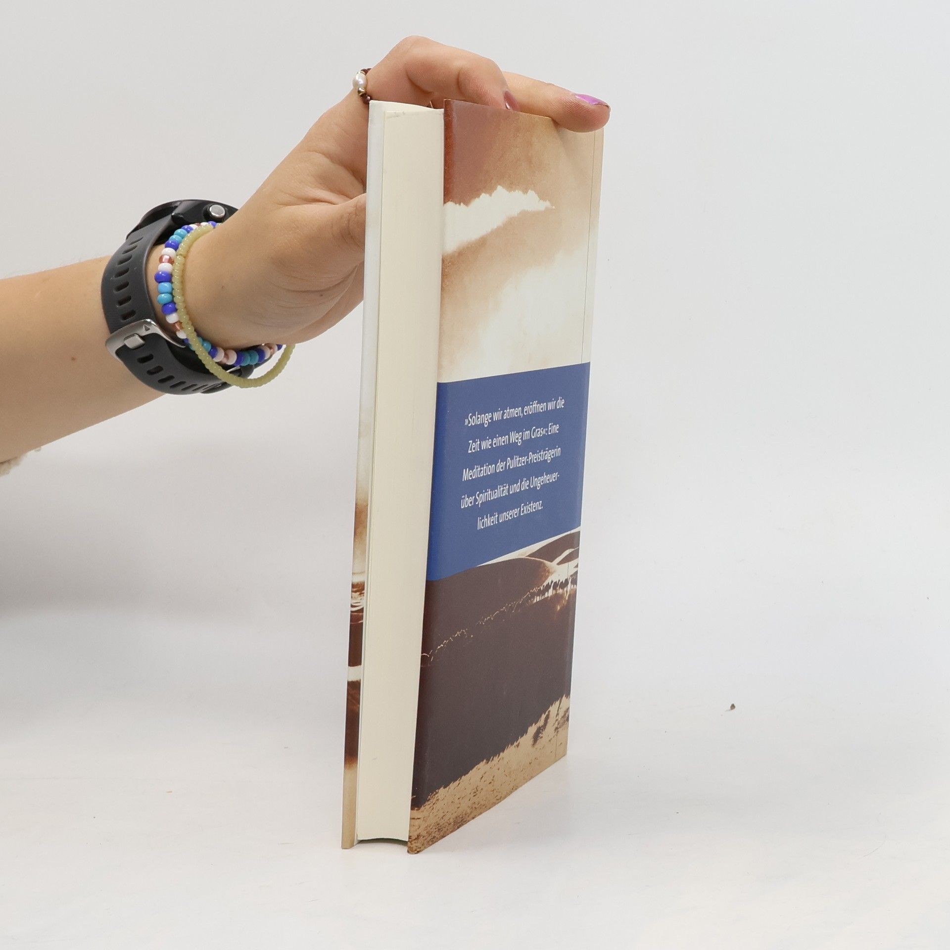 Annie Dillard Außer der Zeit