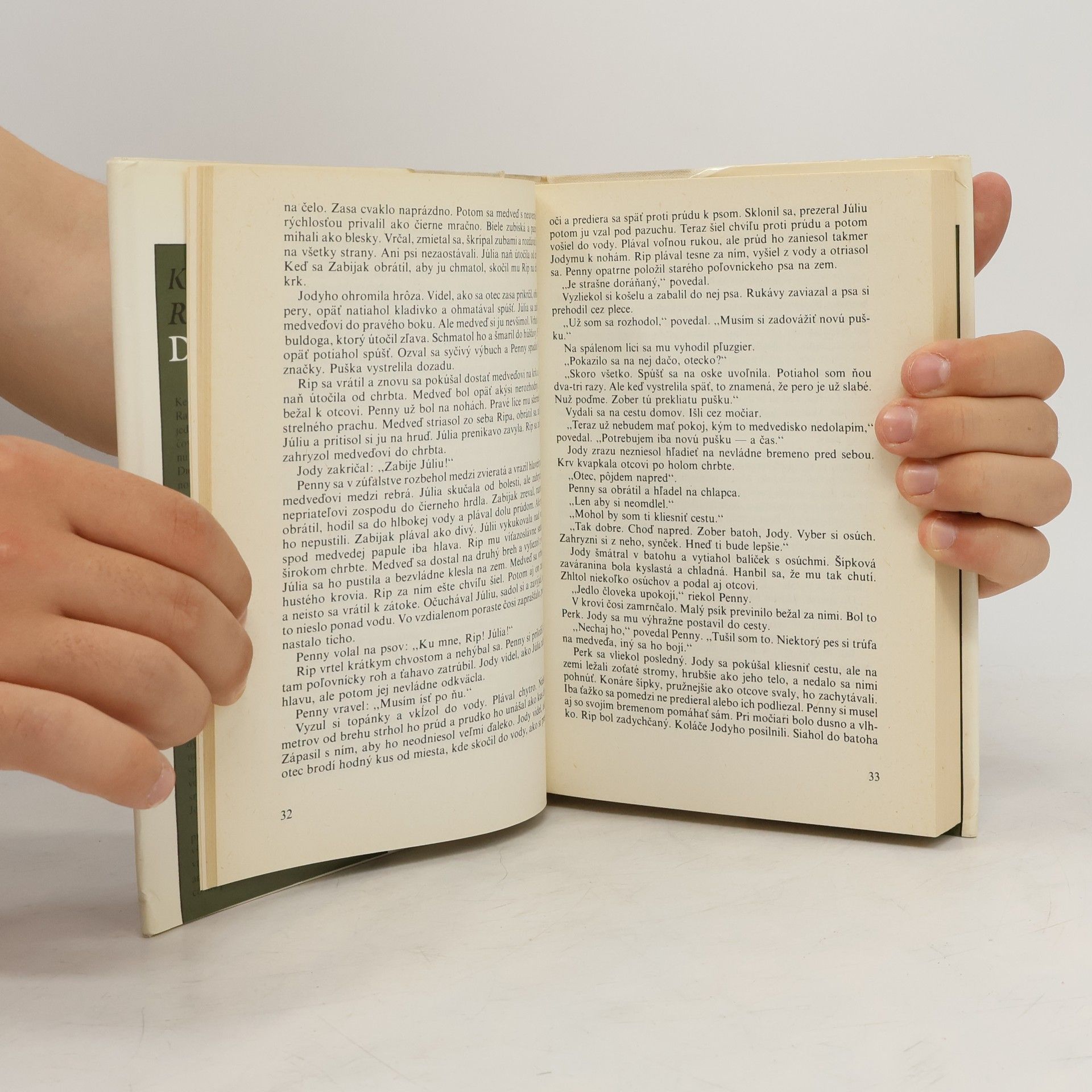 Marjorie Kinnan Rawlings Dieťa divočiny
