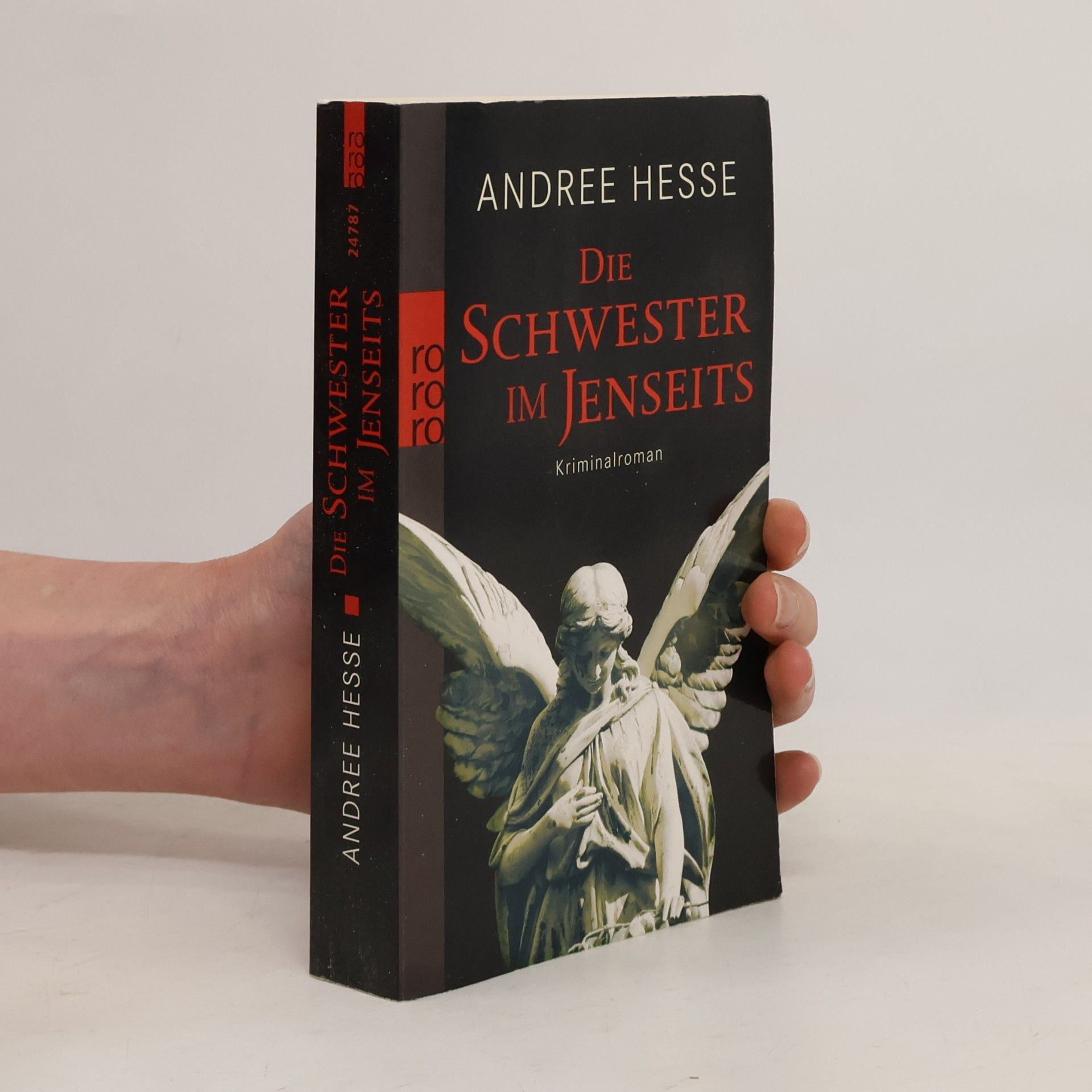 Andree Hesse Die Schwester im Jenseits