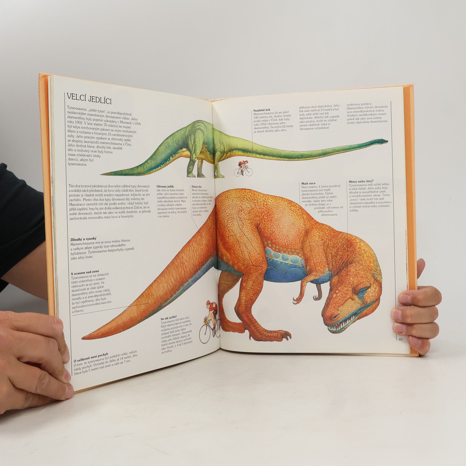 Collectif d'auteurs Jak žili dinosauři