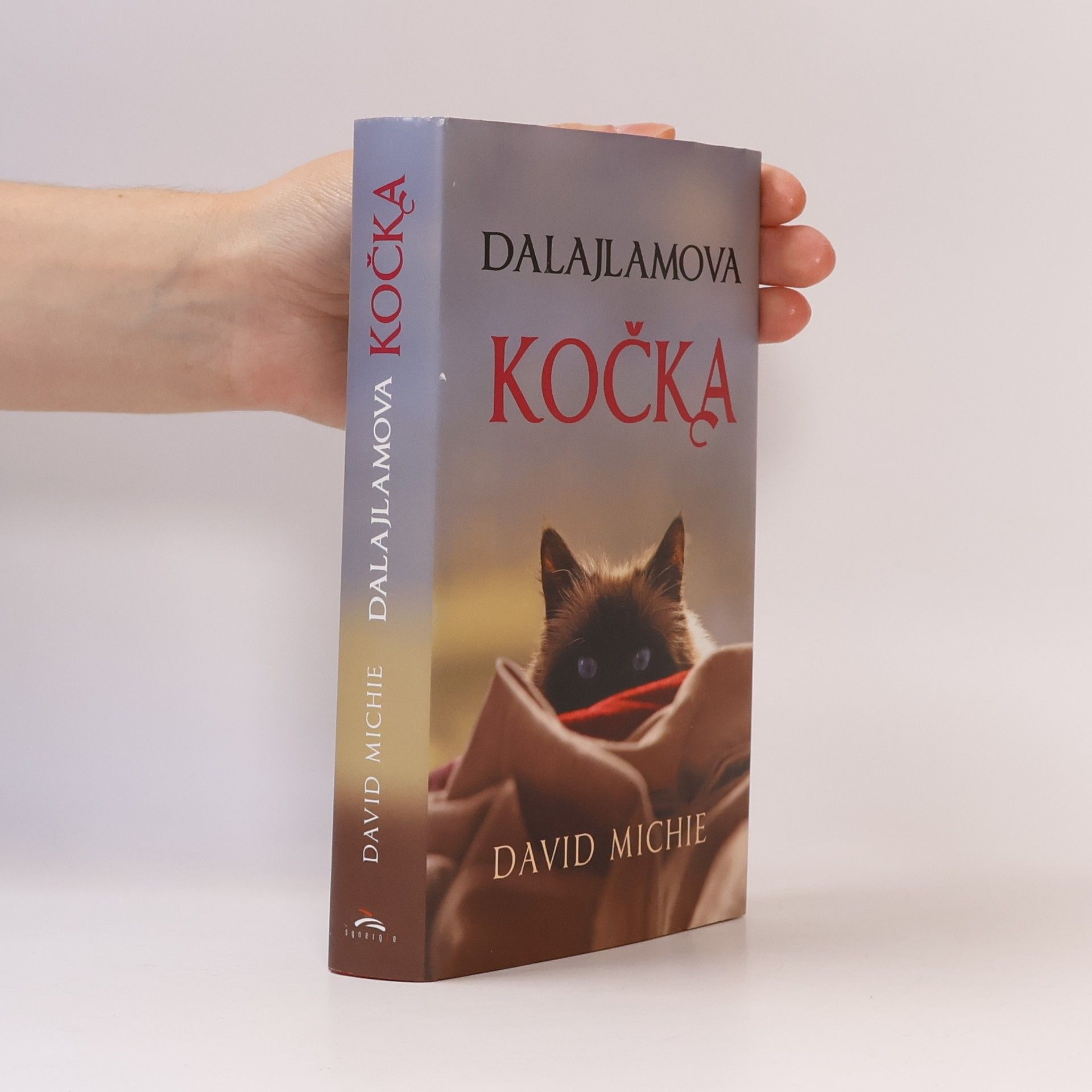 David Michie Dalajlamova kočka