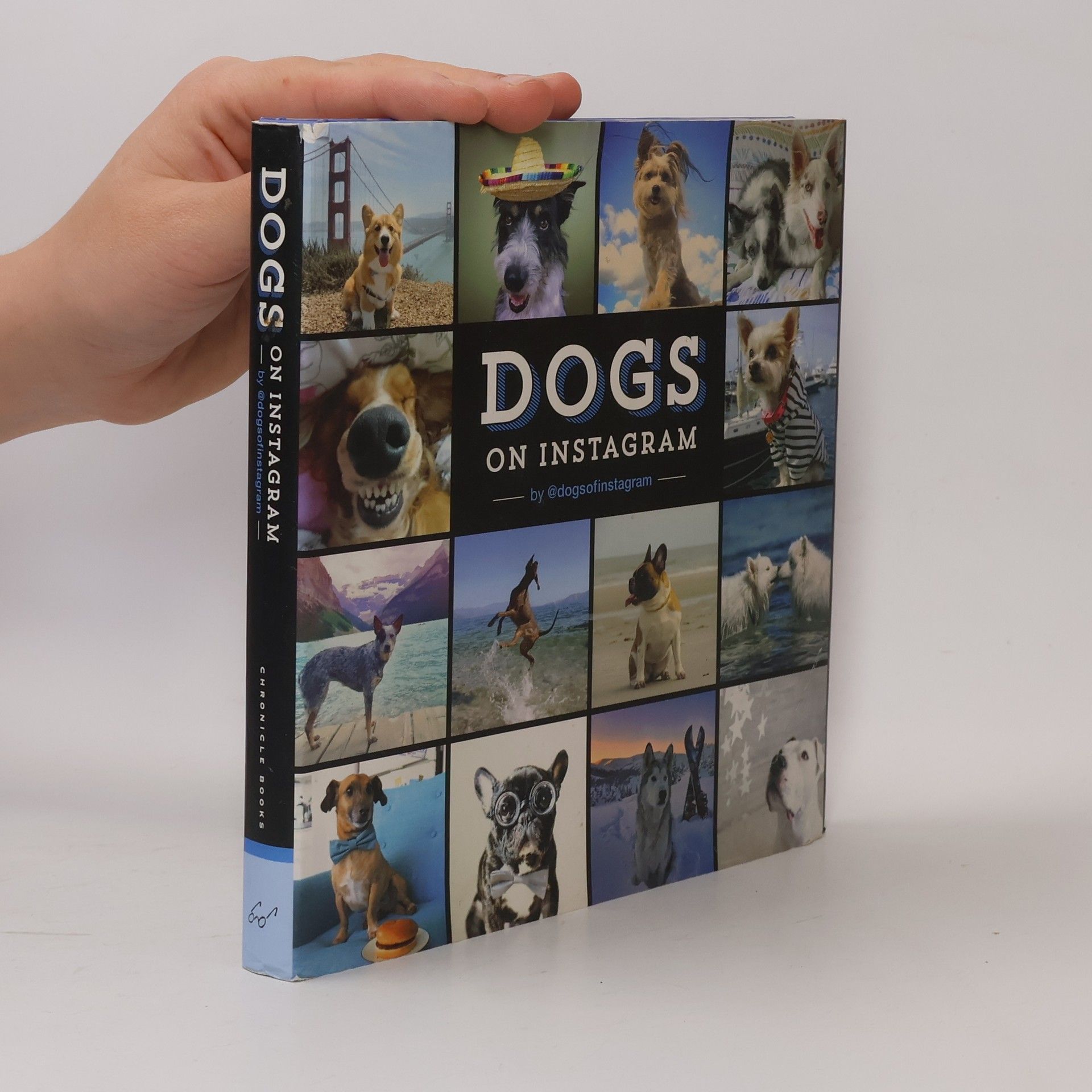 Dogs of Instagram Dogs on Instagram