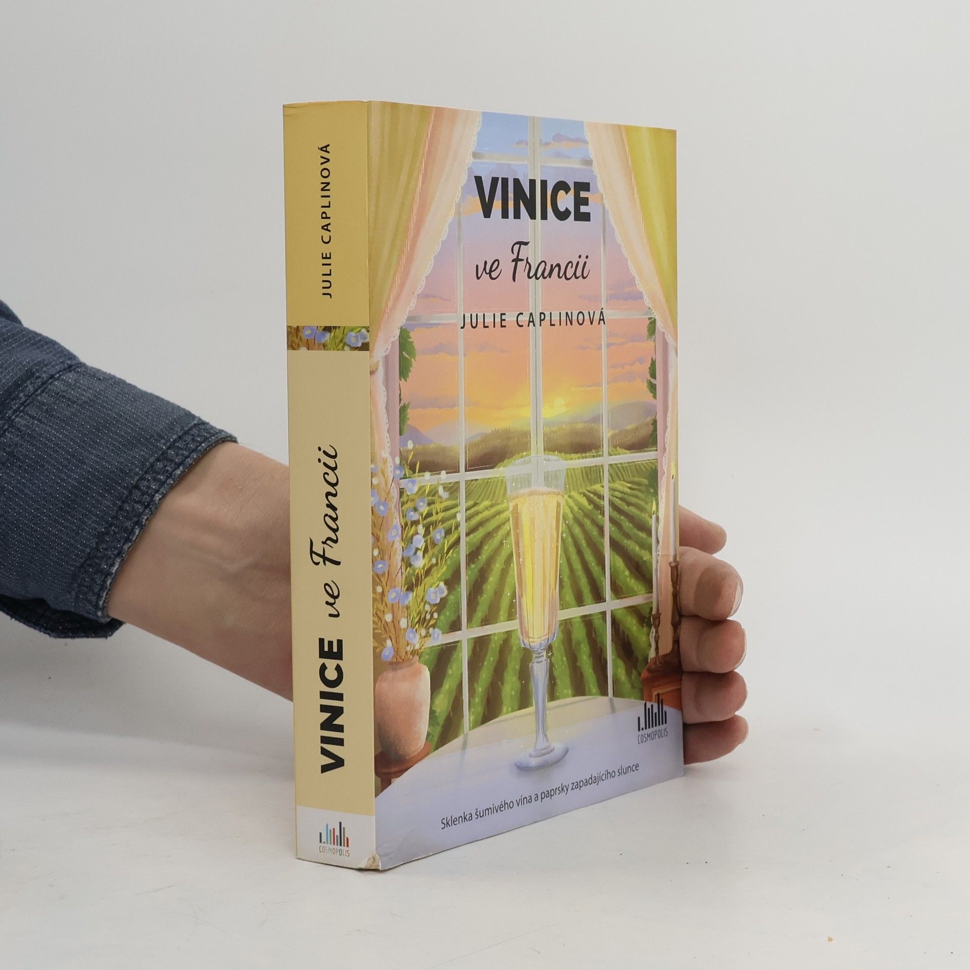 Vinice ve Francii