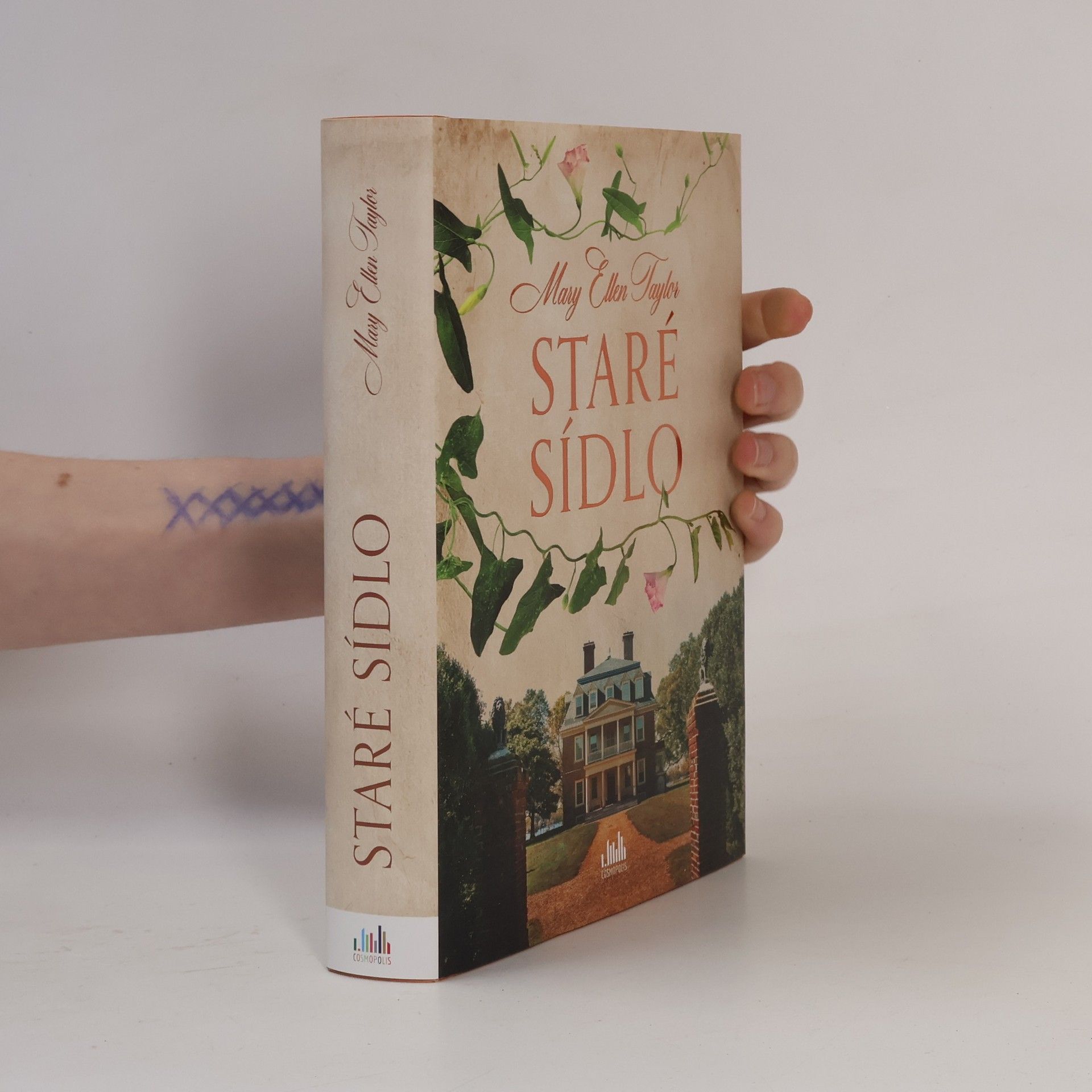 Mary Ellen Taylor Staré sídlo
