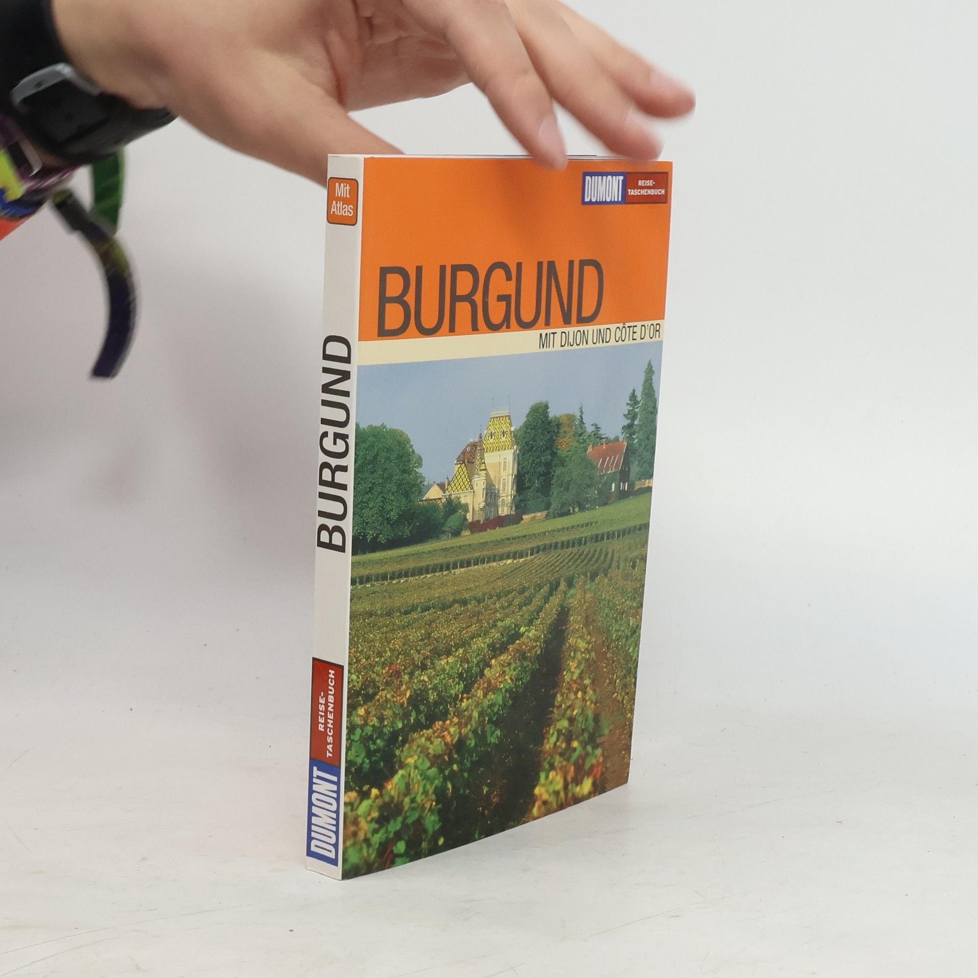 Klaus Simon Burgund