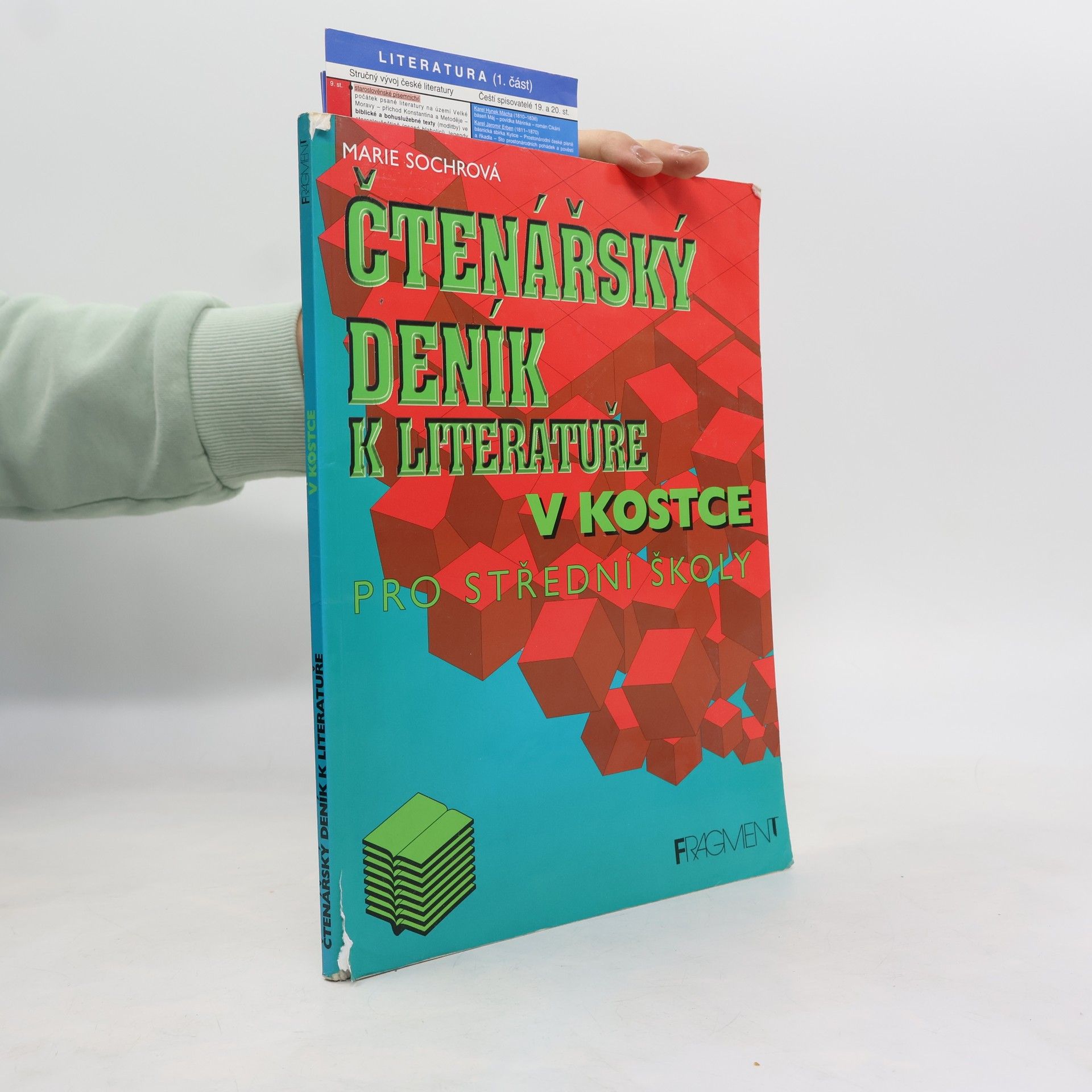 Marie Sochrová Čtenářský deník k Literatuře v kostce
