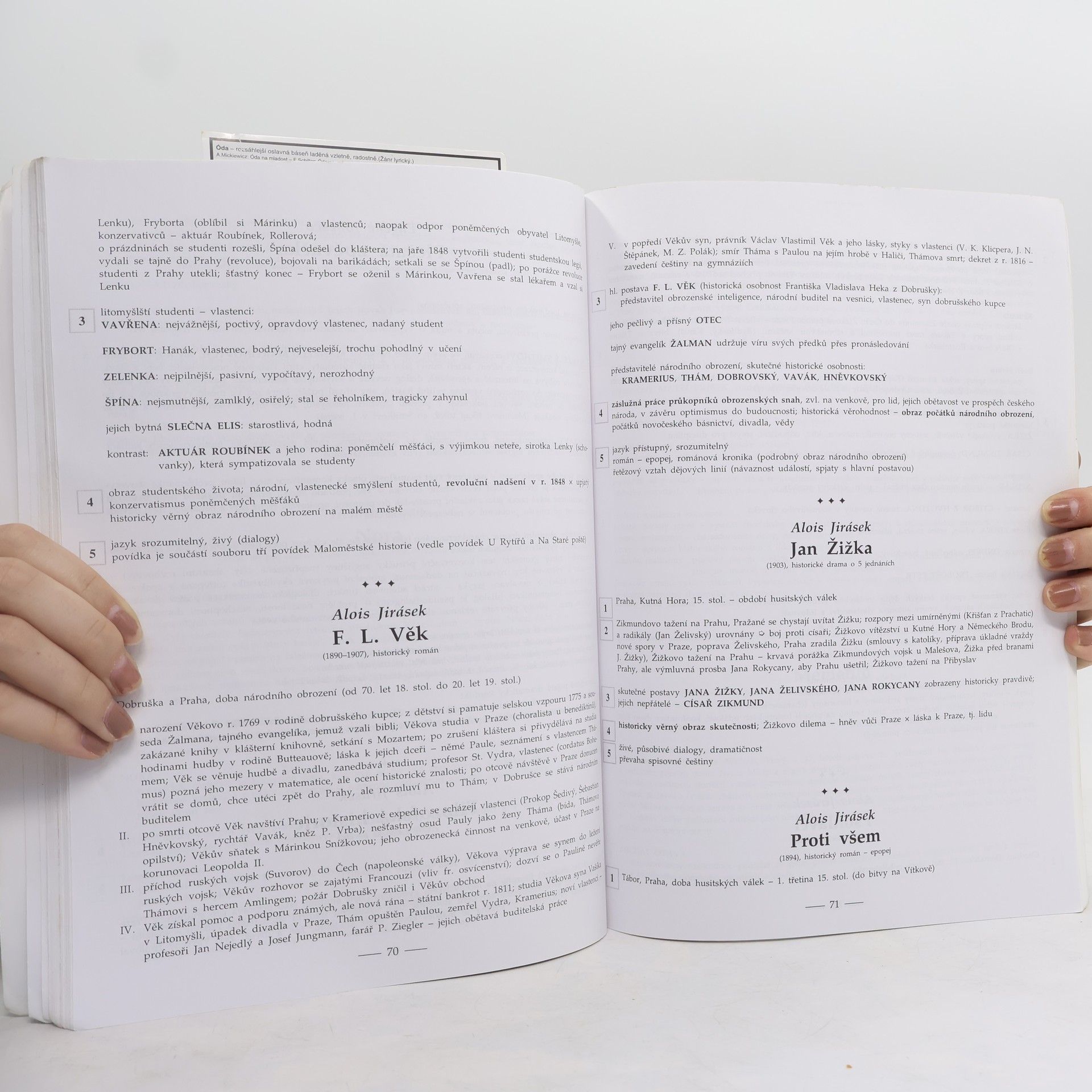 Marie Sochrová Čtenářský deník k Literatuře v kostce