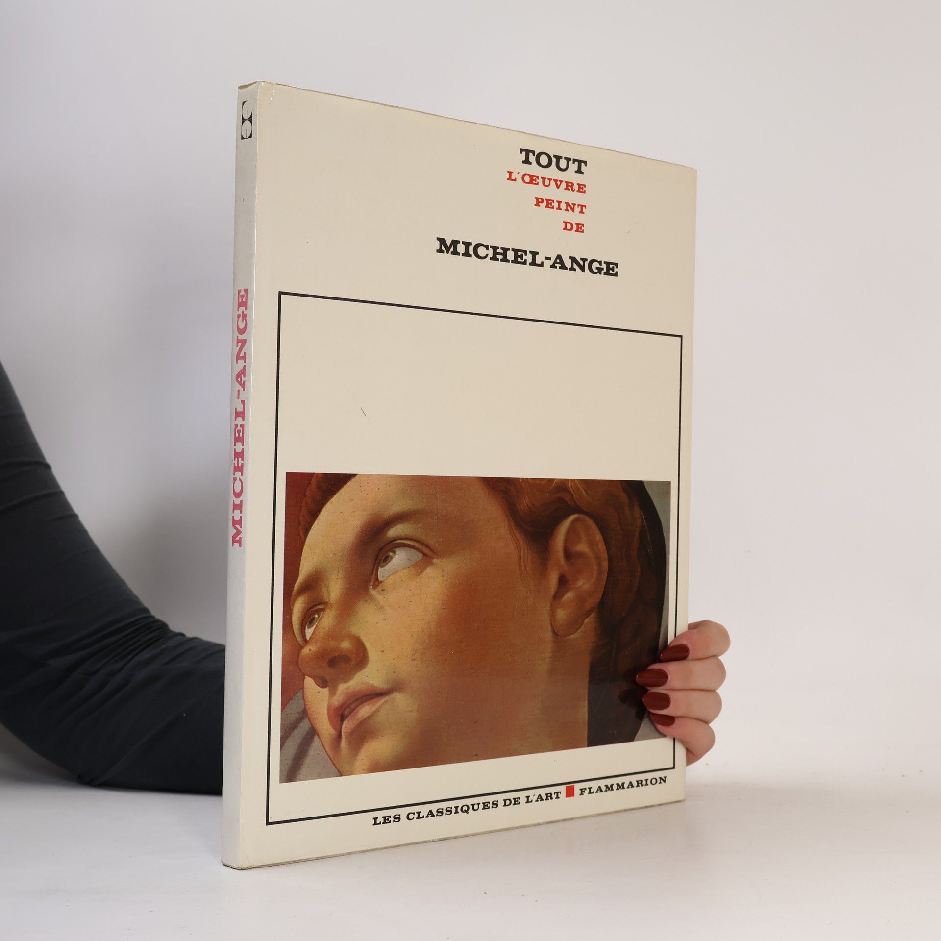 Kolektiv autorů Tout l'oeuvre peint de Michel-Ange