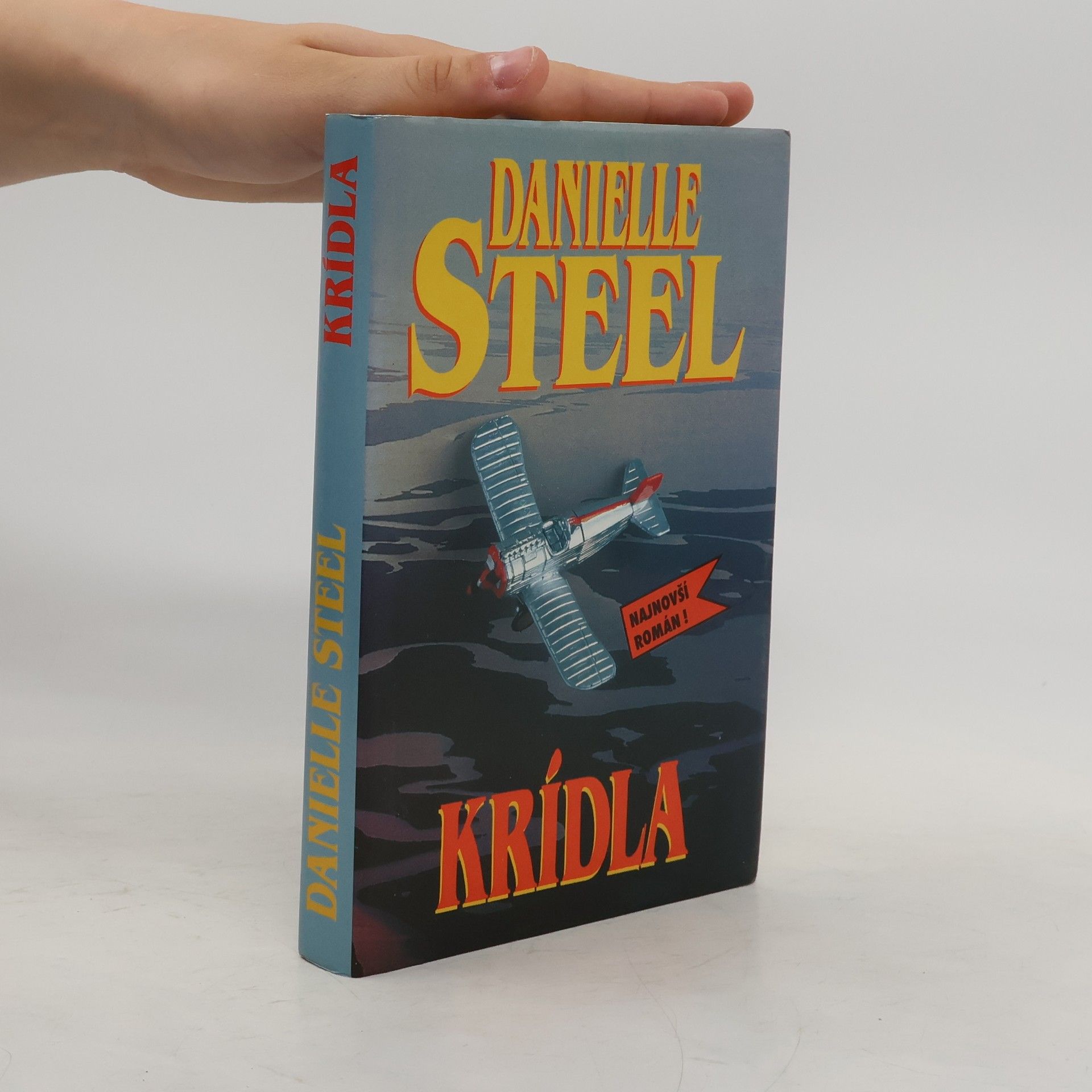 Danielle Steel Krídla