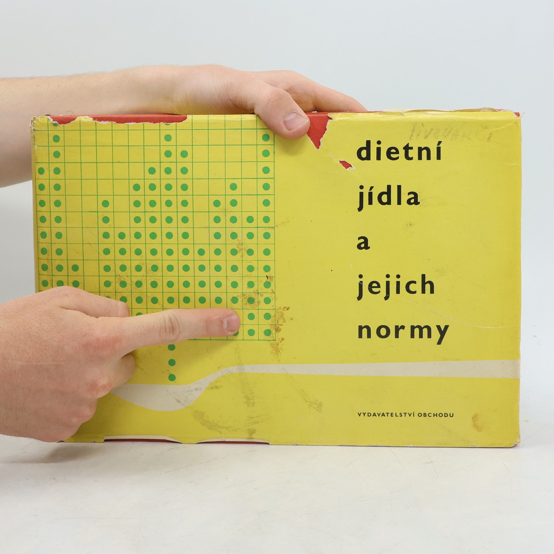 Erich Novák Dietní jídla a jejich normy