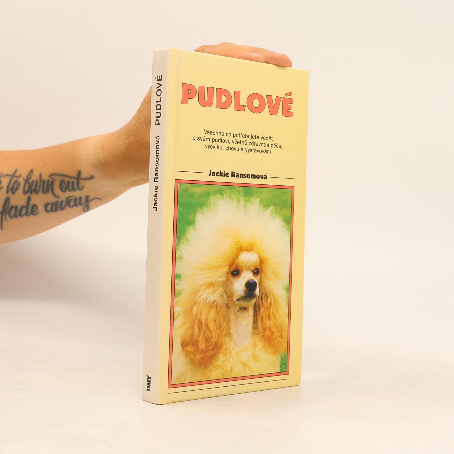 Pudlové. Velcí, střední, trpasličí a toy