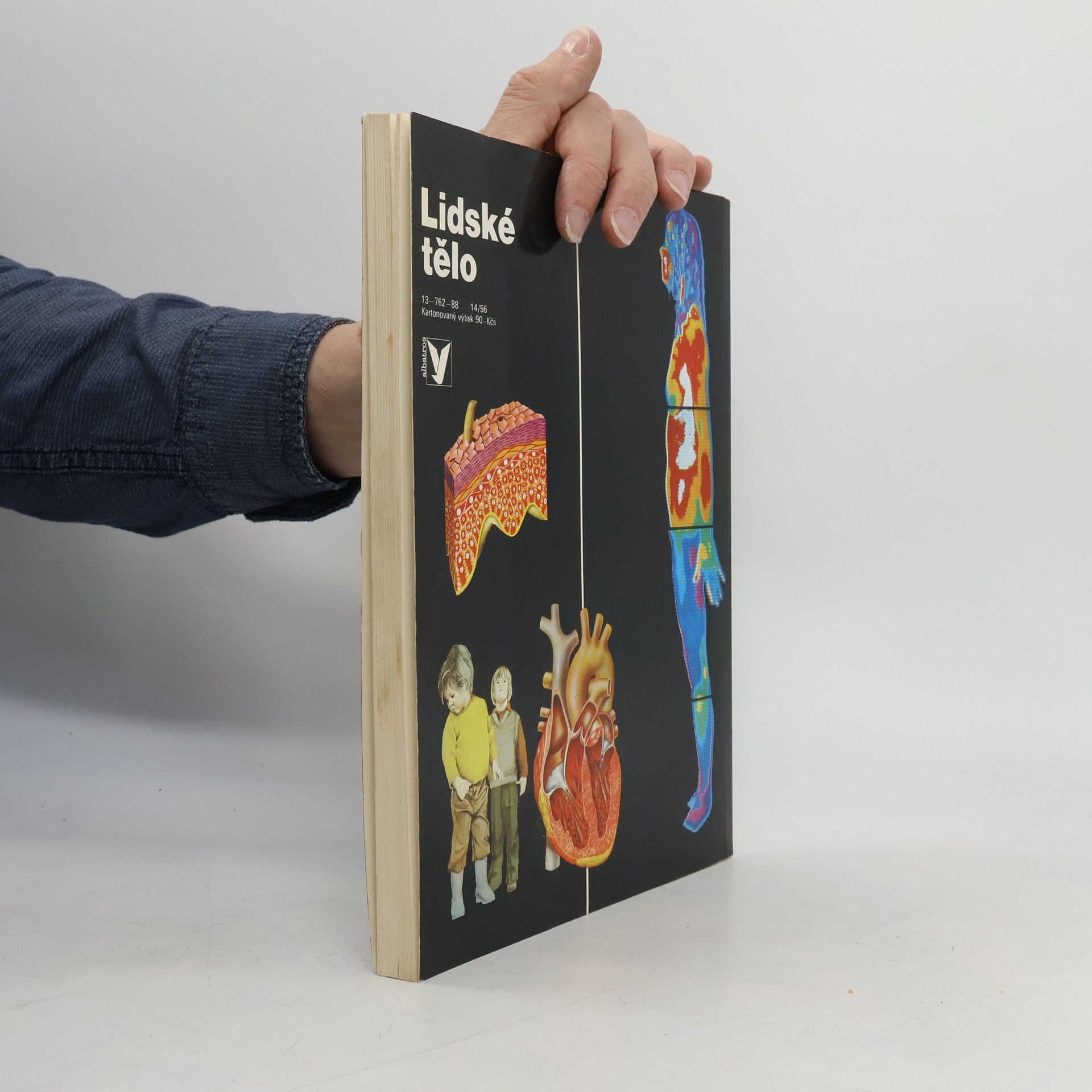 Kolektiv autorů Lidské tělo
