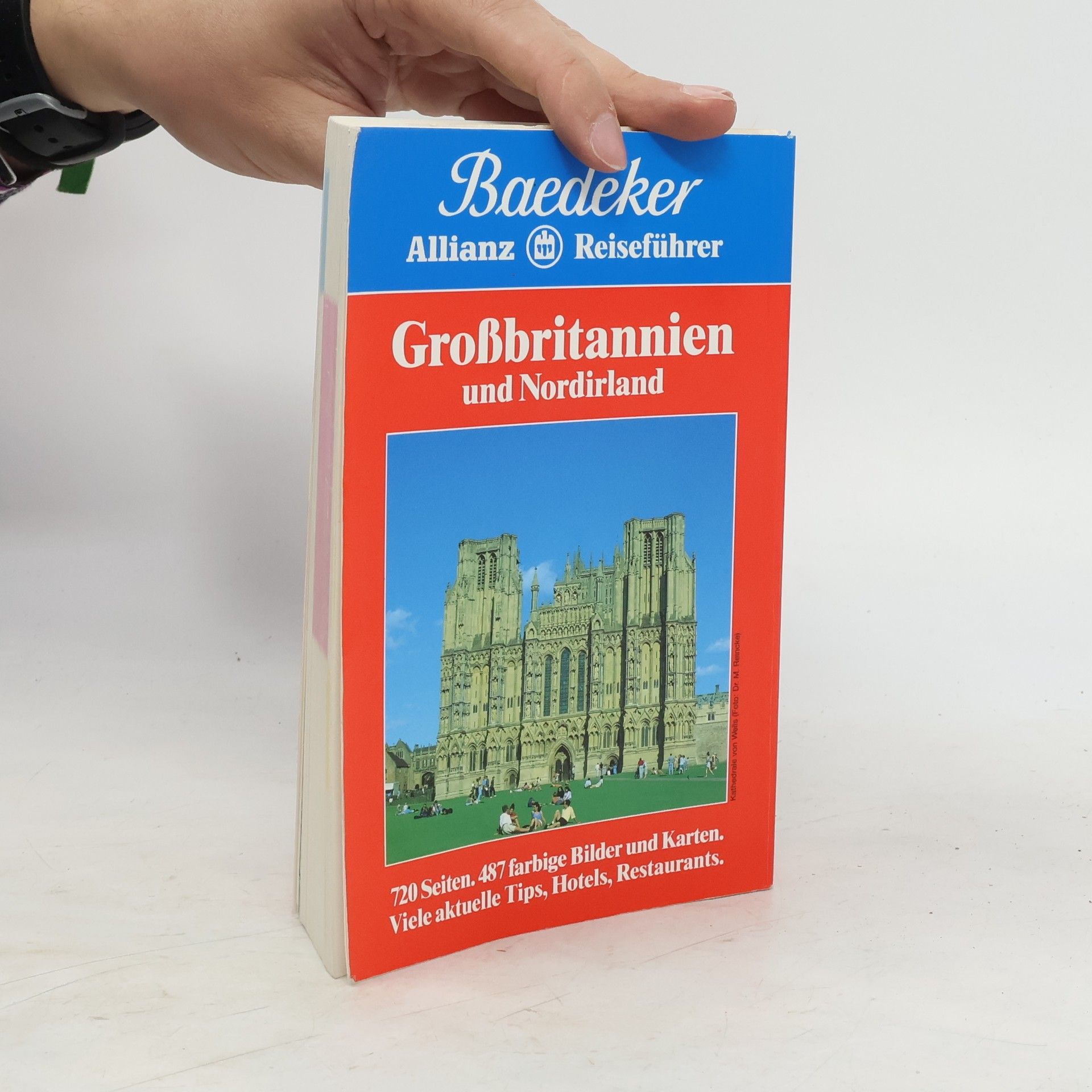 Dr. Madeleine Reincke Grossbritannien und Nordirland
