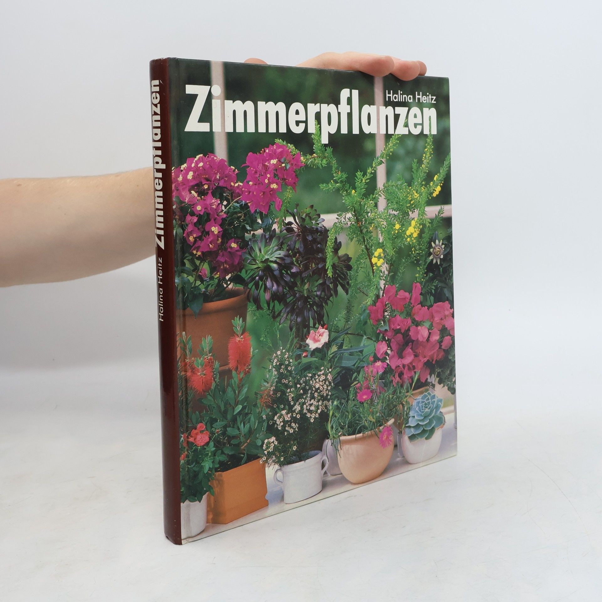 Halina Heitz Zimmerpflanzen