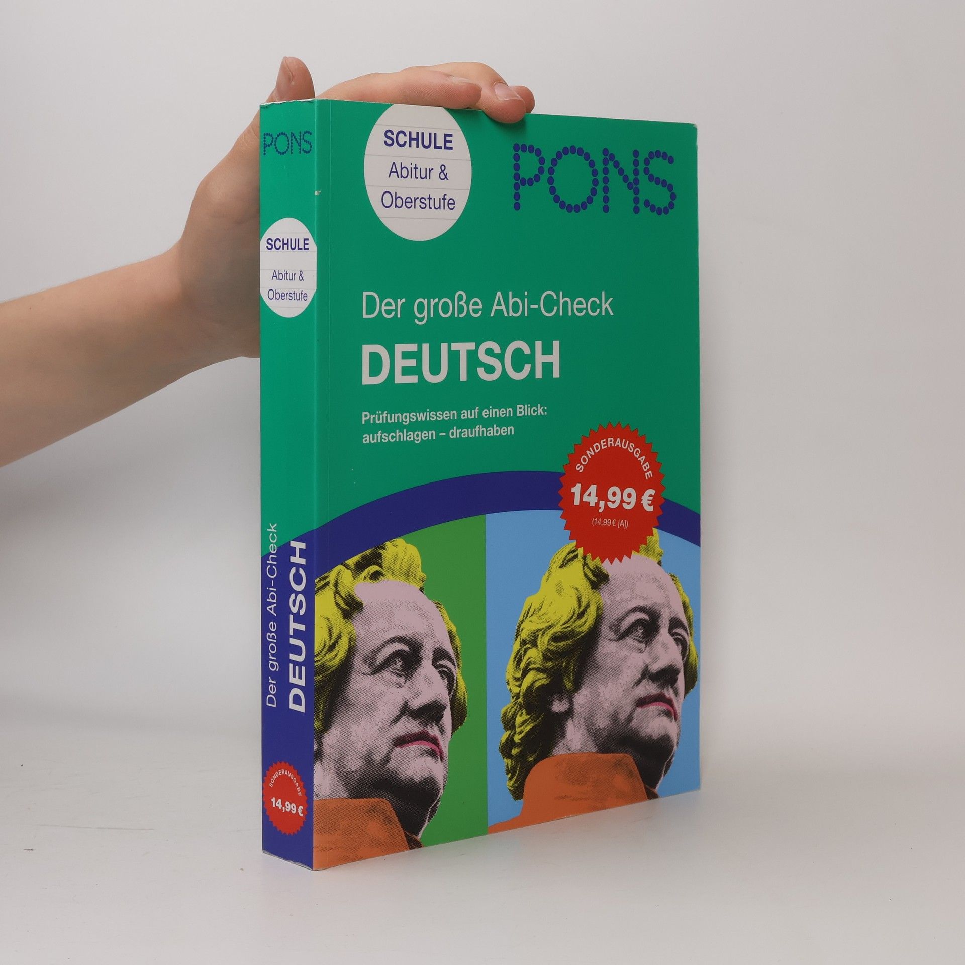 Canan Eulenberger-Özdamar PONS Der große Abicheck Deutsch
