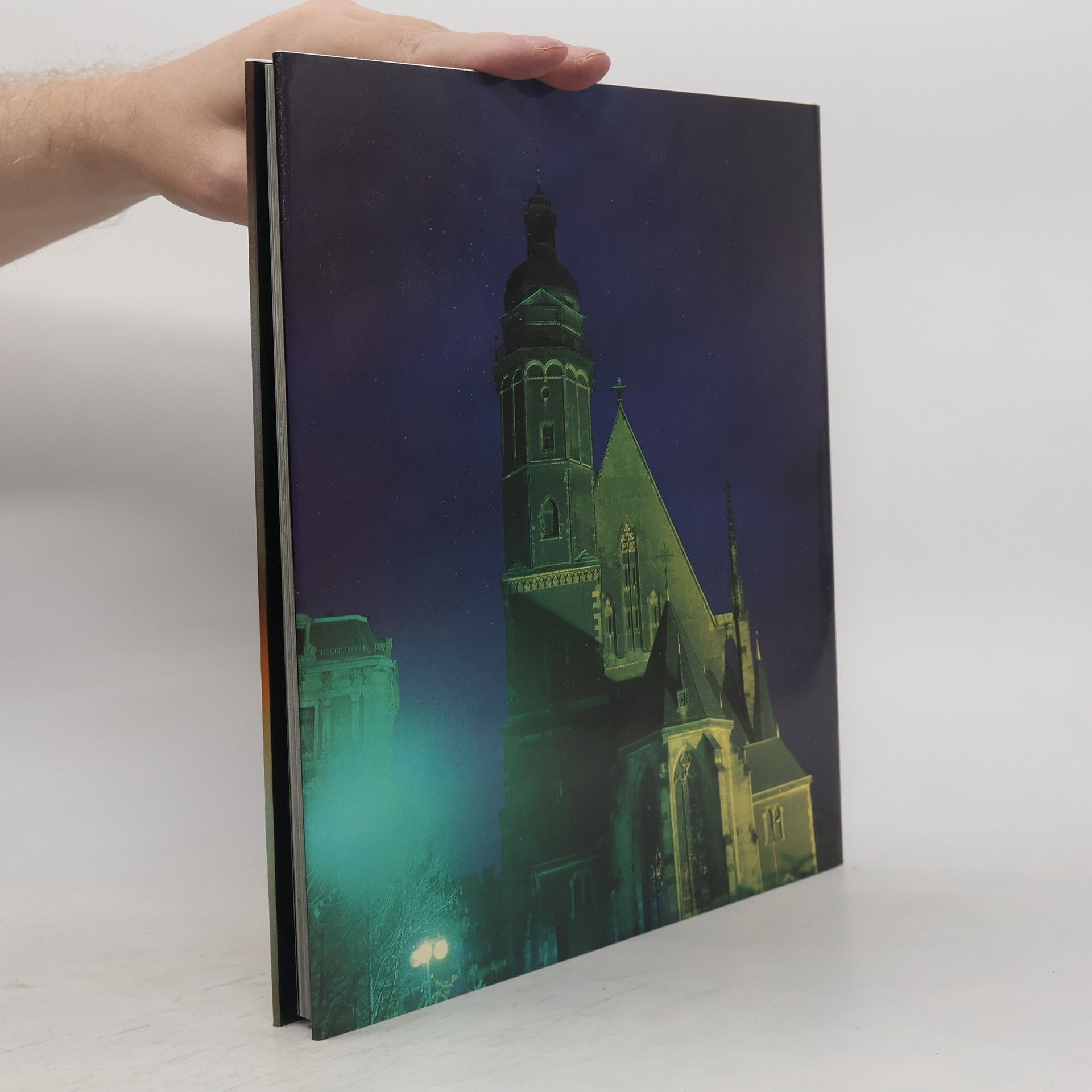 Roger Rössing Leipzig in Farbe