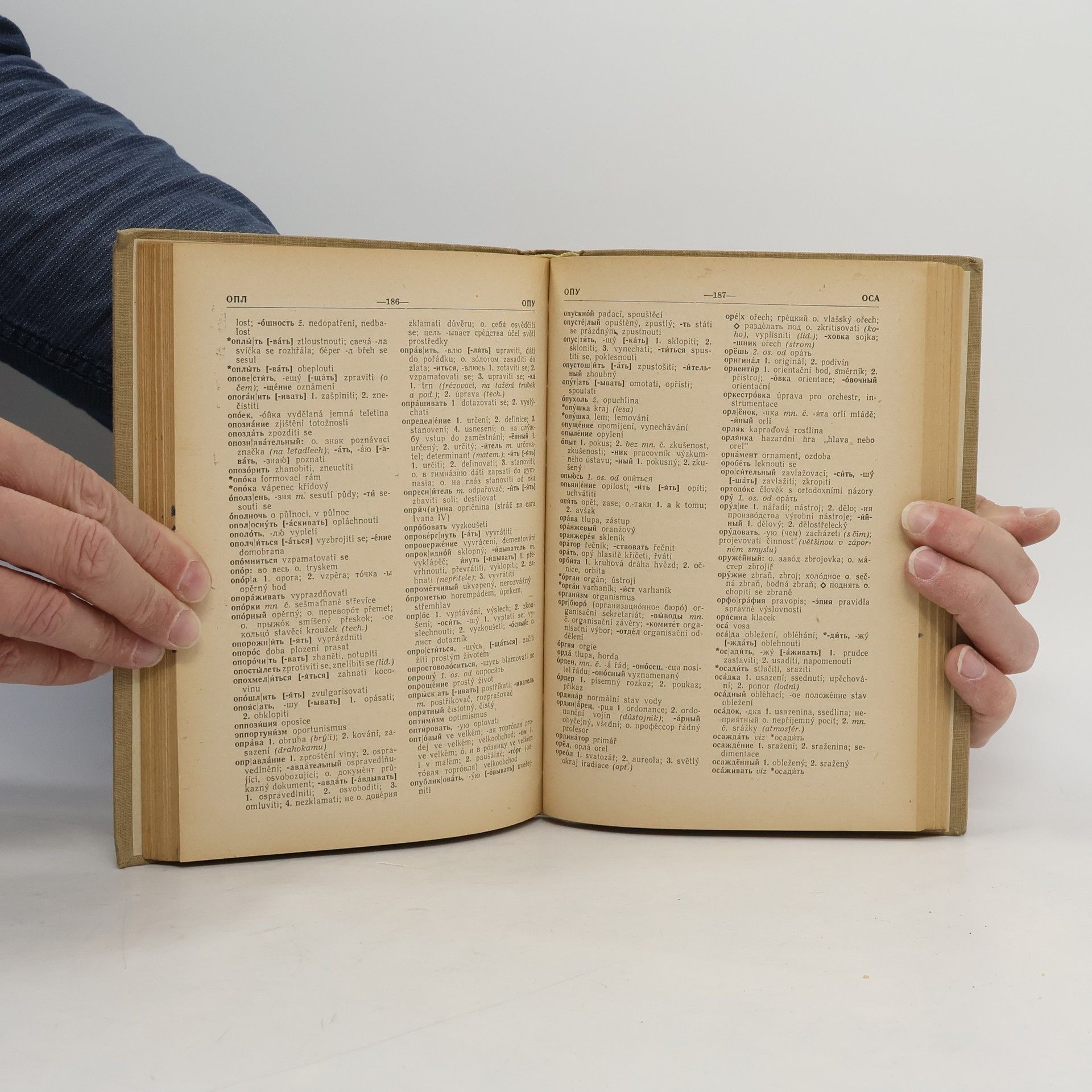 Autorenkollektiv Příruční rusko-český slovník