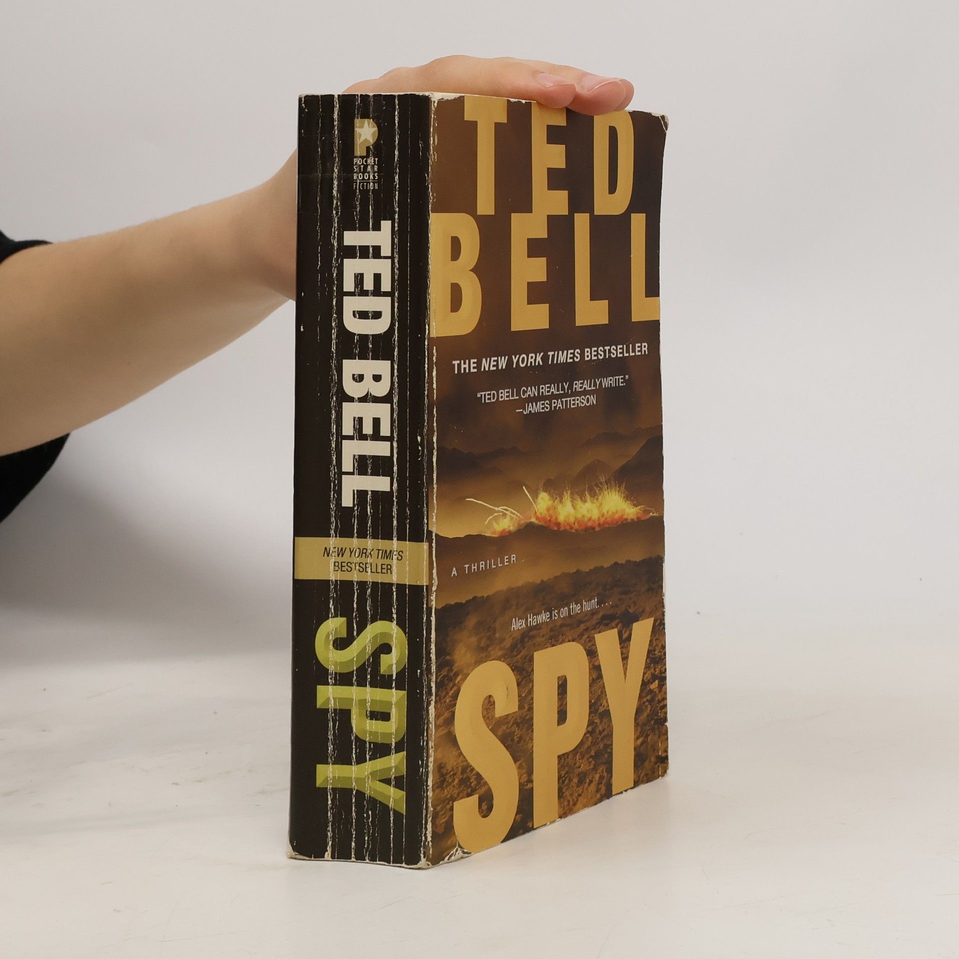 Ted Bell Spy