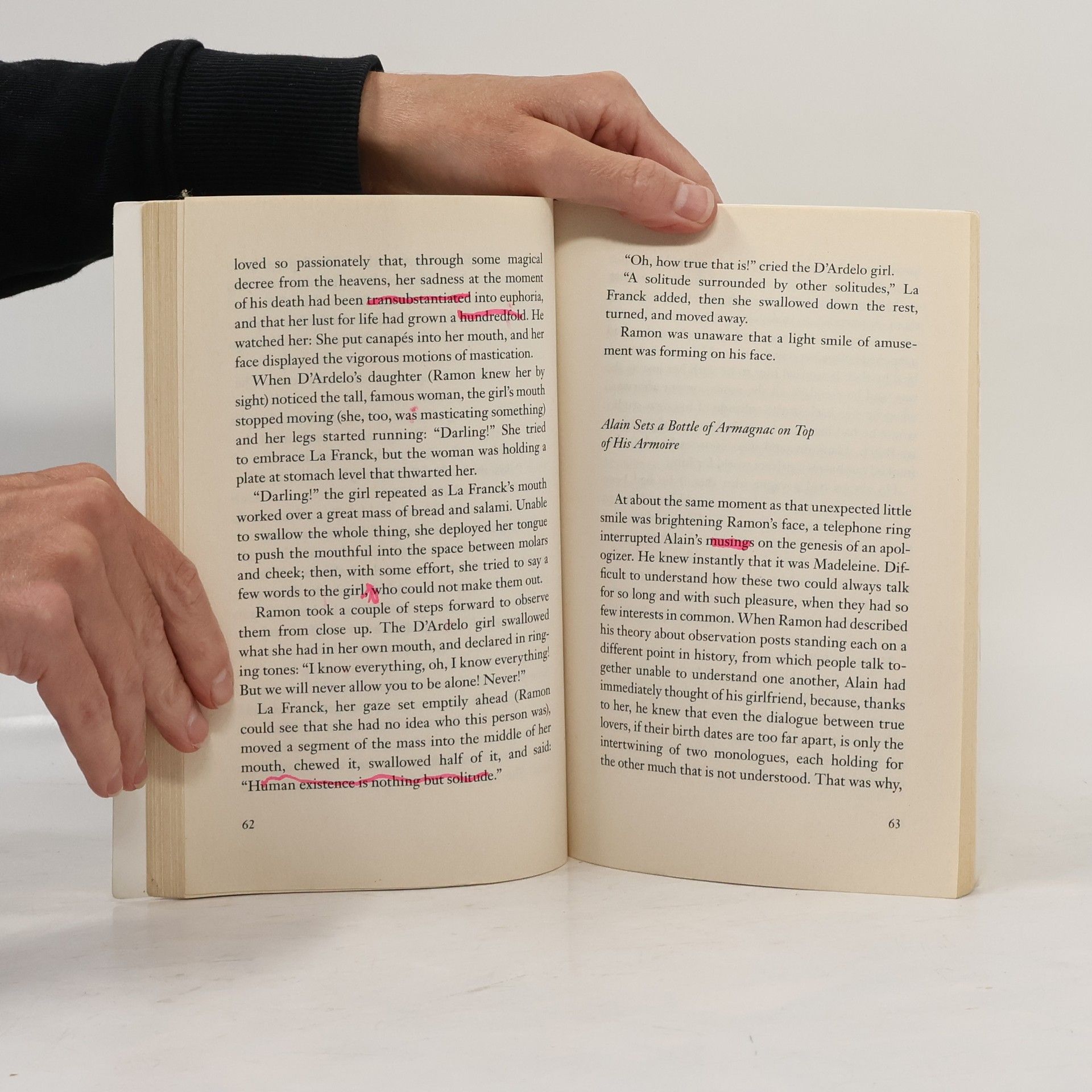 Milan Kundera The festival of insignificance