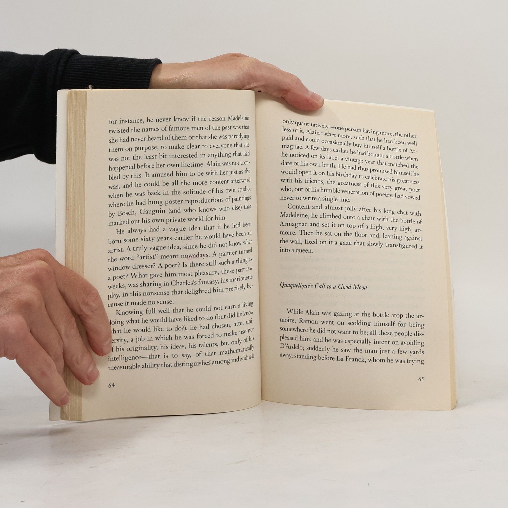 Milan Kundera The festival of insignificance