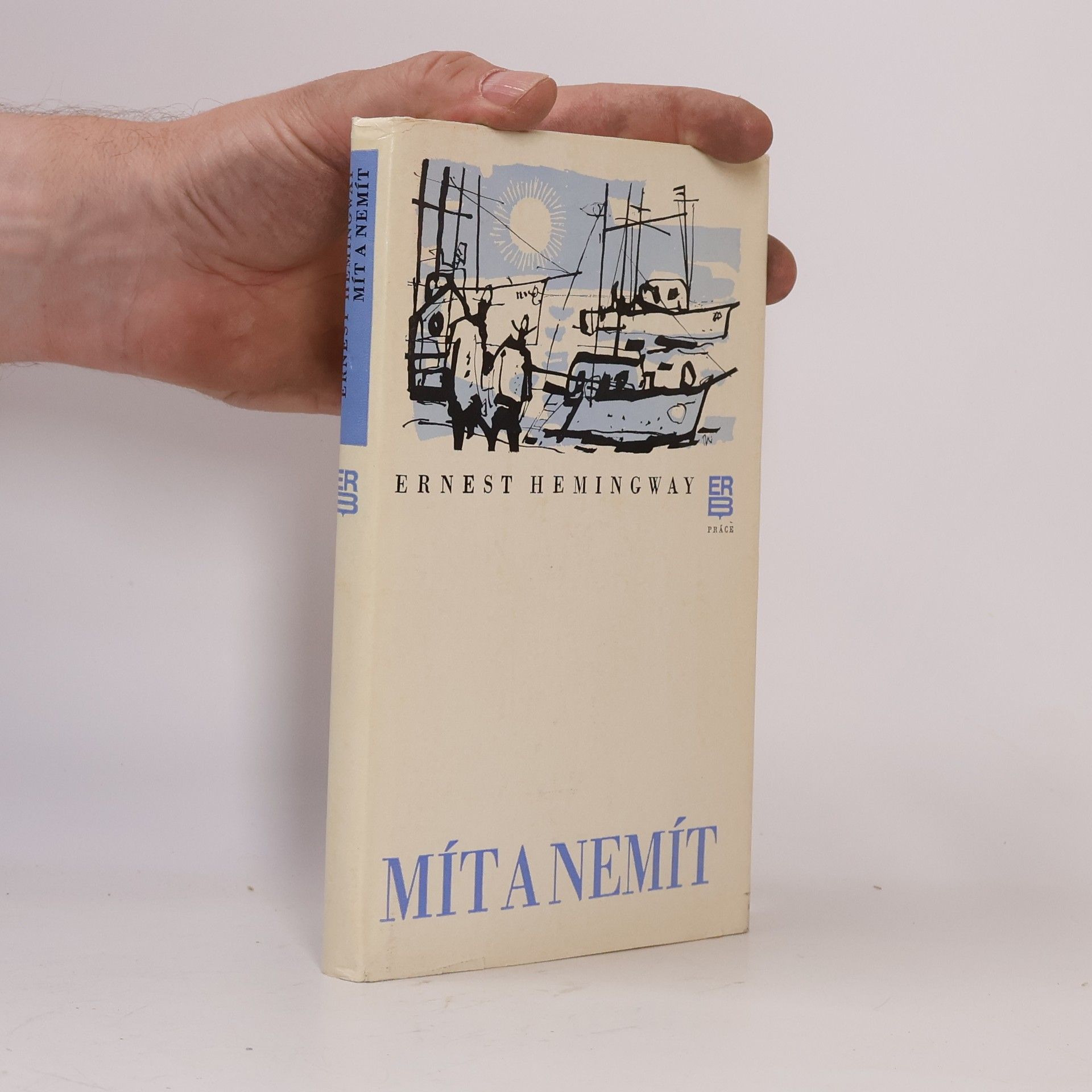 Ernest Hemingway Mít a nemít