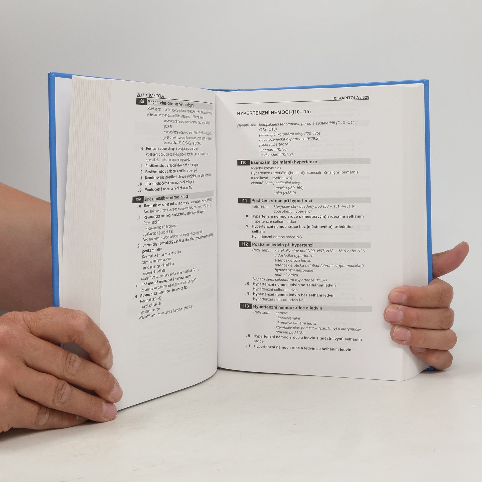 Autorenkollektiv MKN-10. Tabelární část