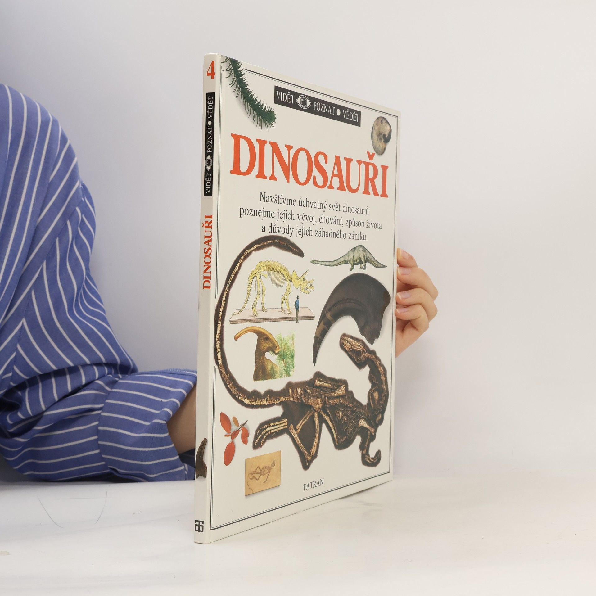 Autorenkollektiv Dinosauři