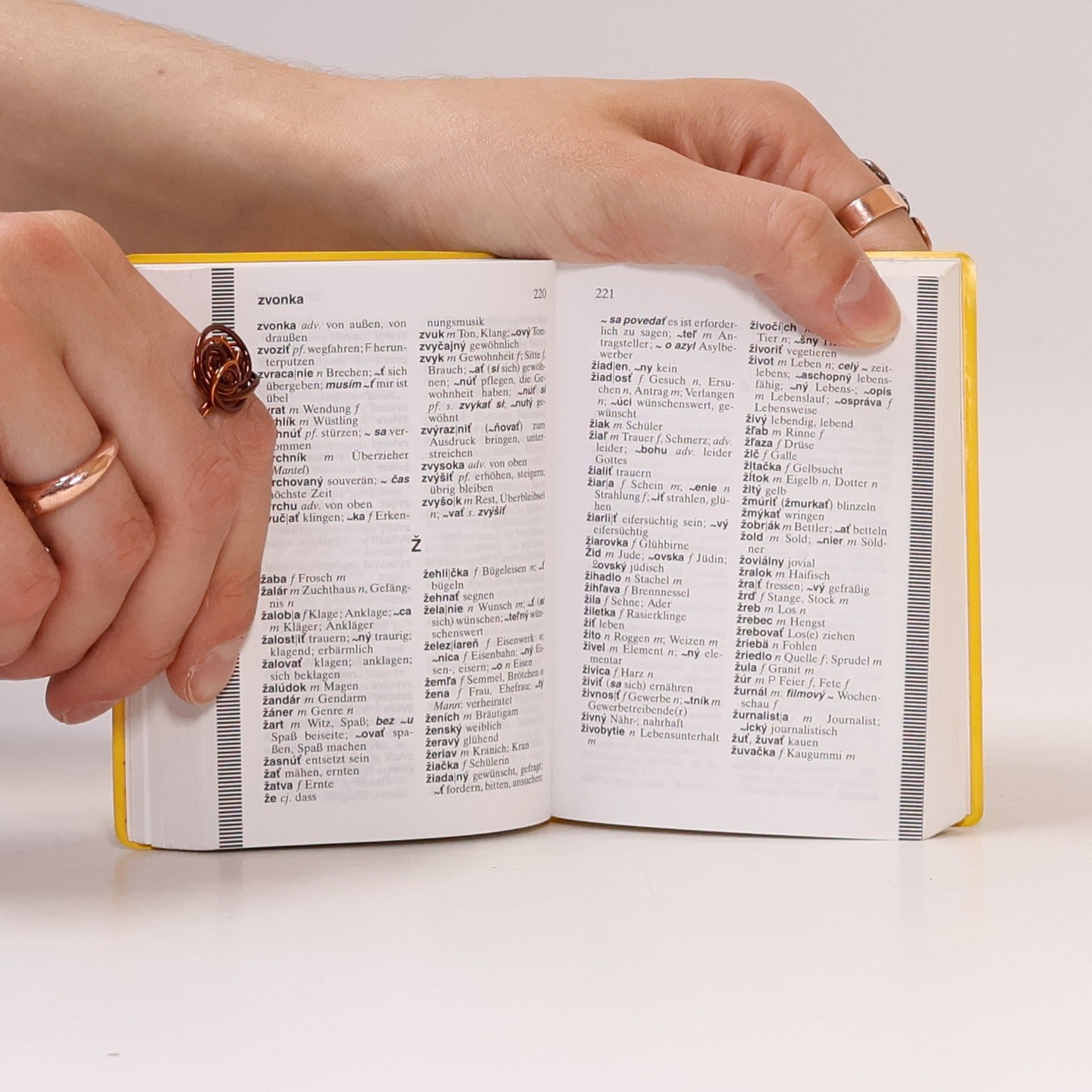 Autorenkollektiv Universal-Wörterbuch Slowakisch