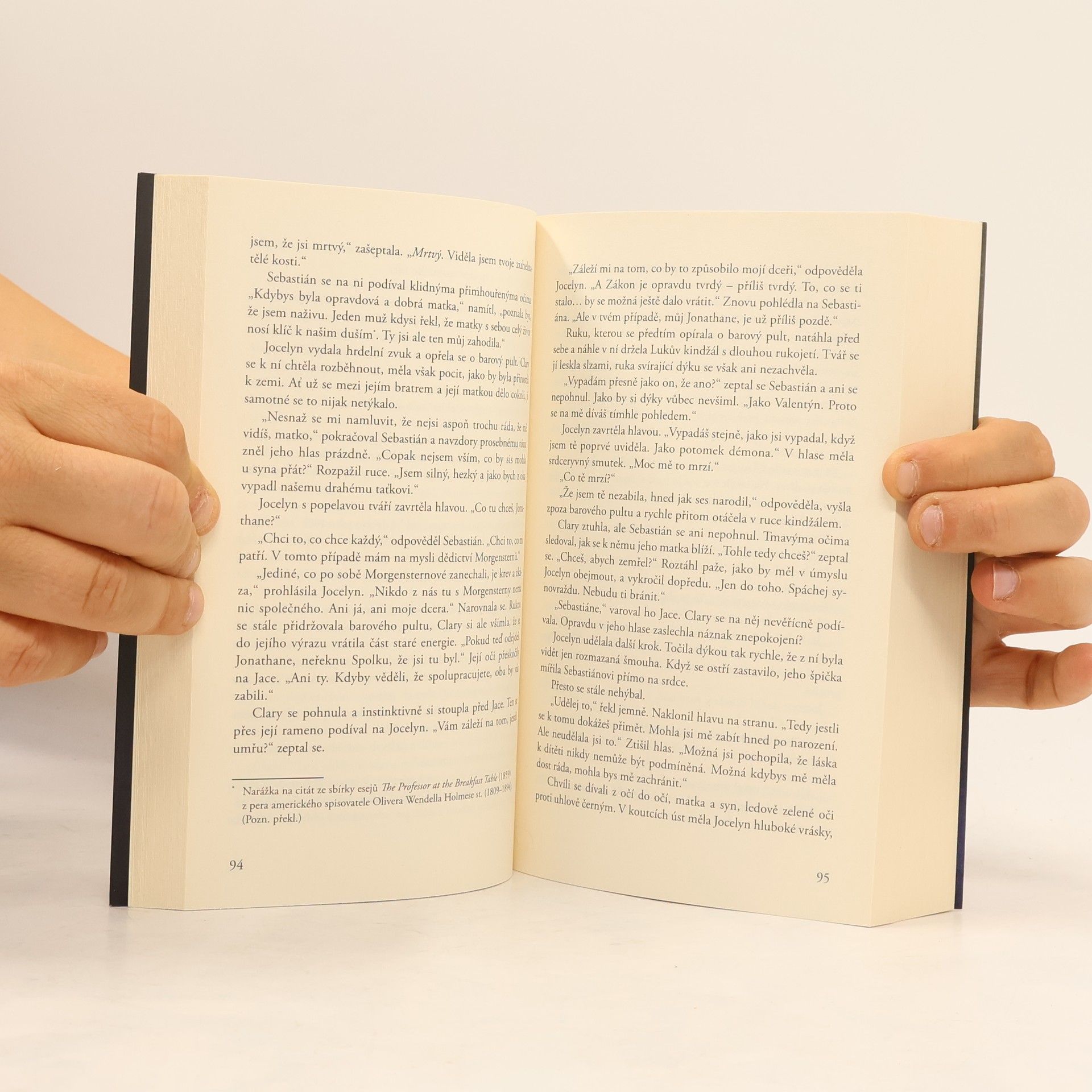 Cassandra Clare Nástroje smrti 5: Město ztracených duší