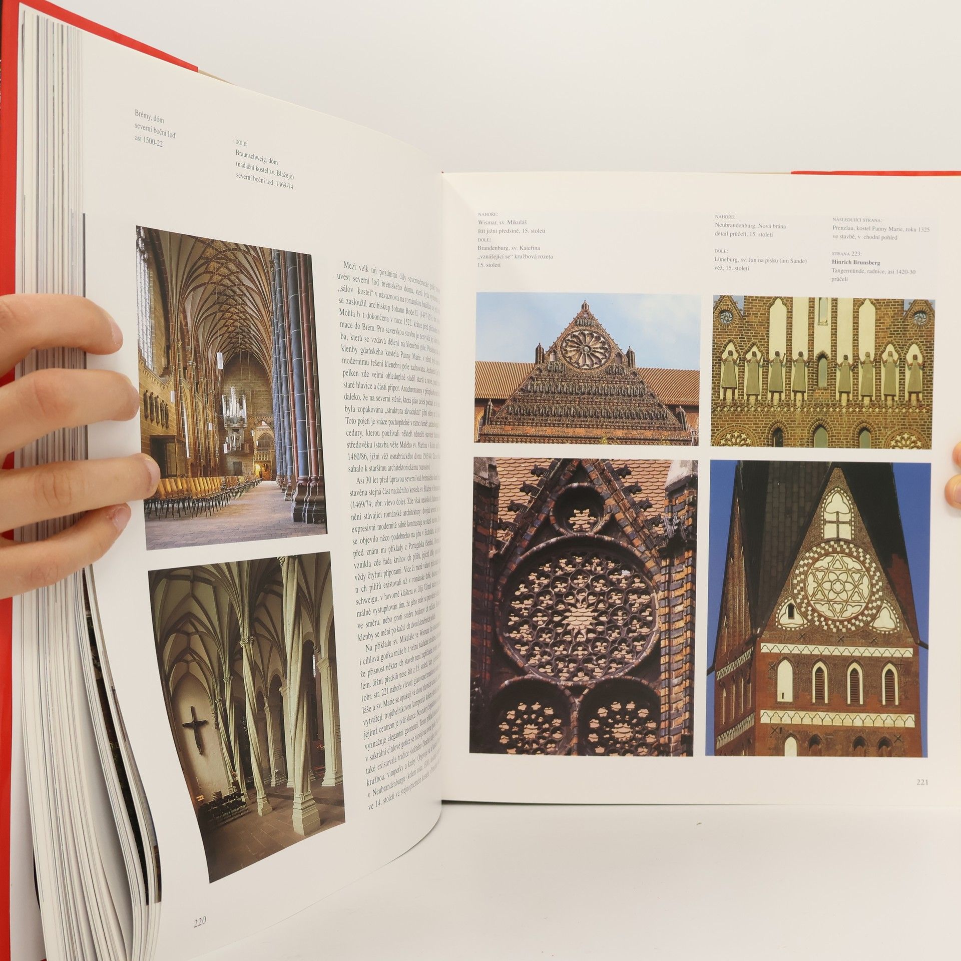 Achim Bednorz Gotika. Architektura, sochařství, malířství