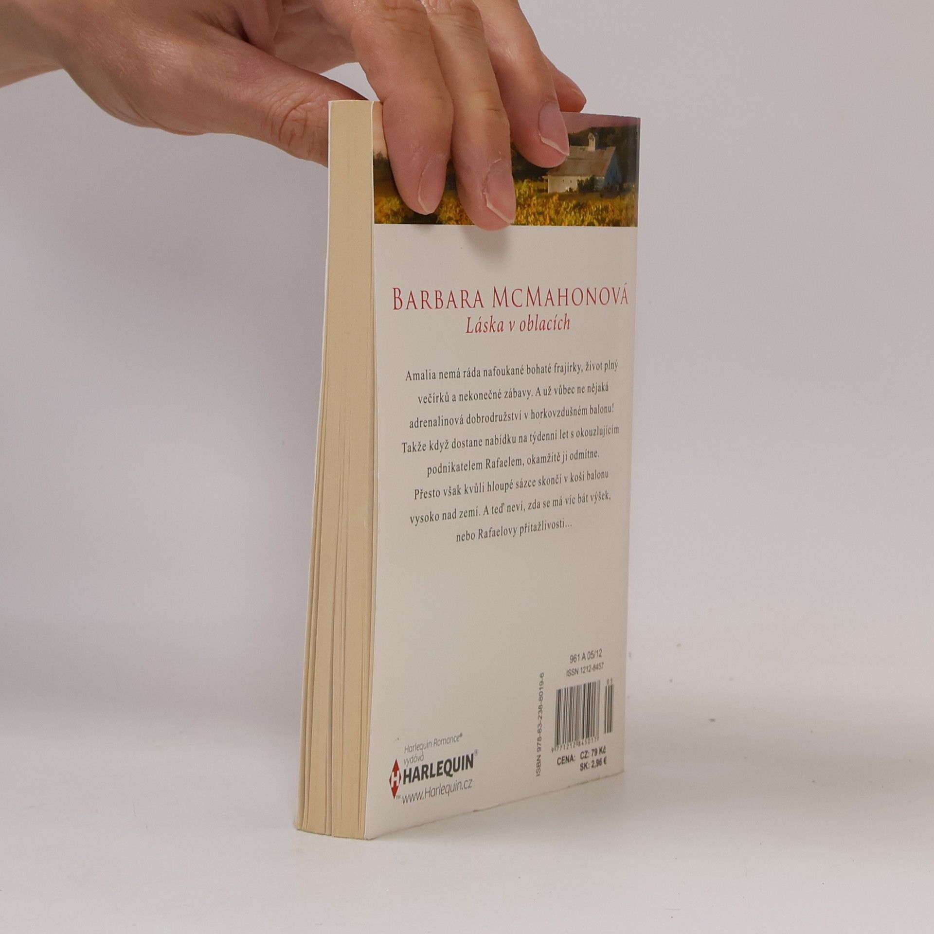 Barbara McMahon Láska v oblacích