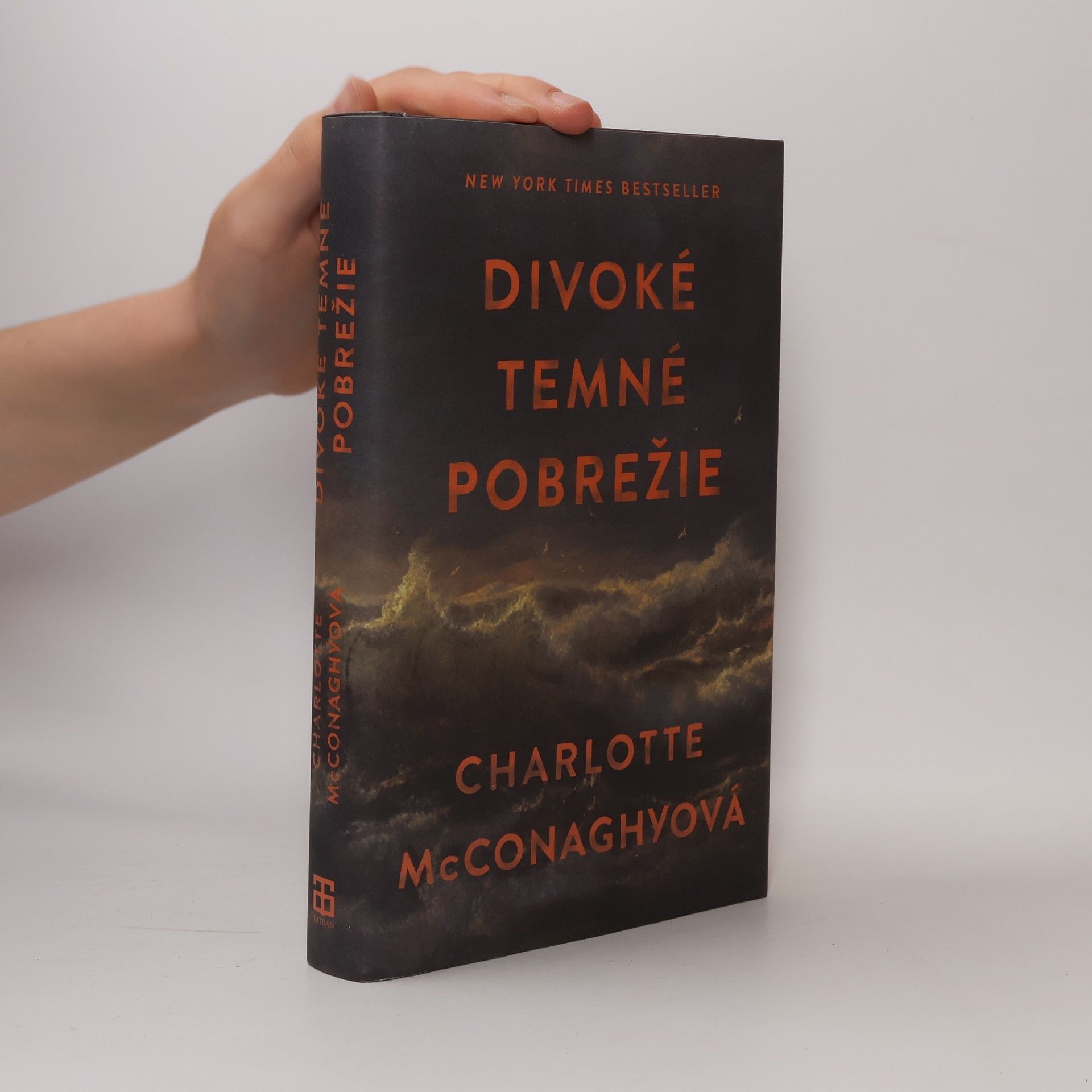 CHARLOTTE. MCCONAGHY Divoké temné pobrežie