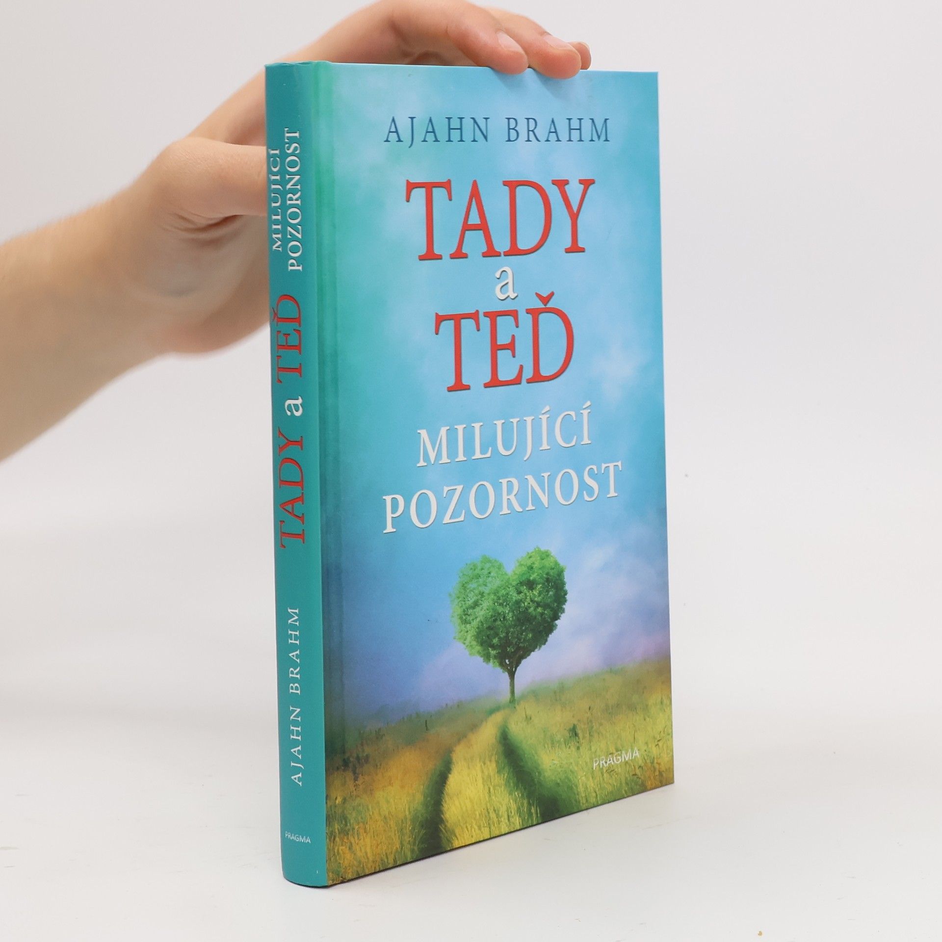 Adzan Brahmavamso Tady a teď. Milující pozornost
