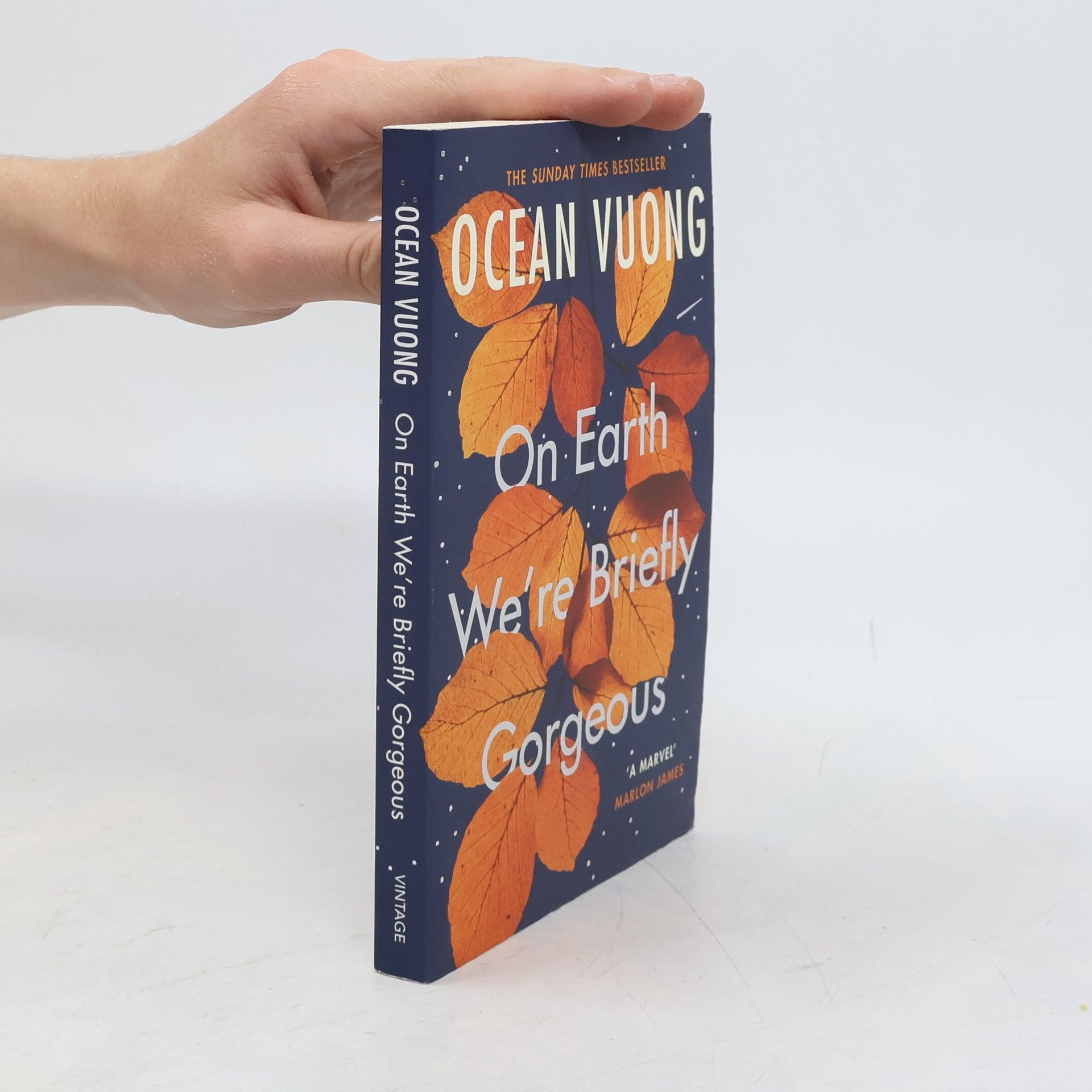 Ocean Vuong On Earth We're Briefly Gorgeous