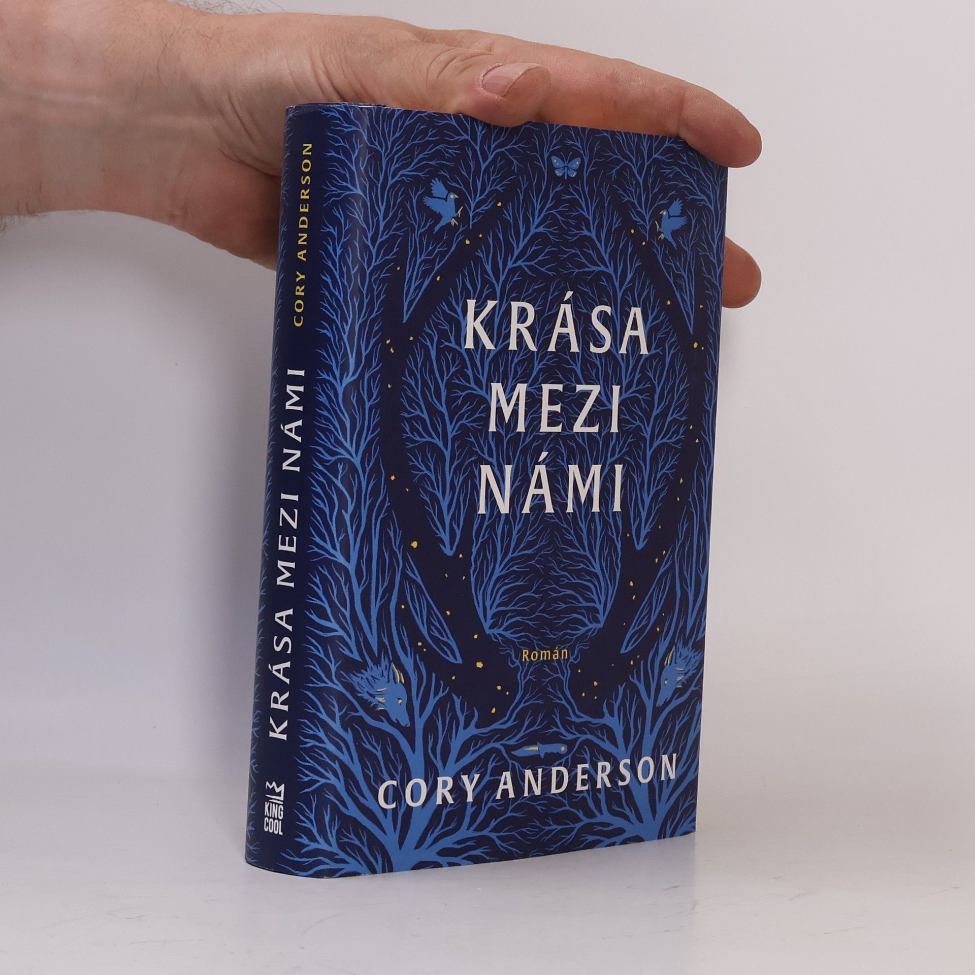 Cory L. Anderson Krása mezi námi