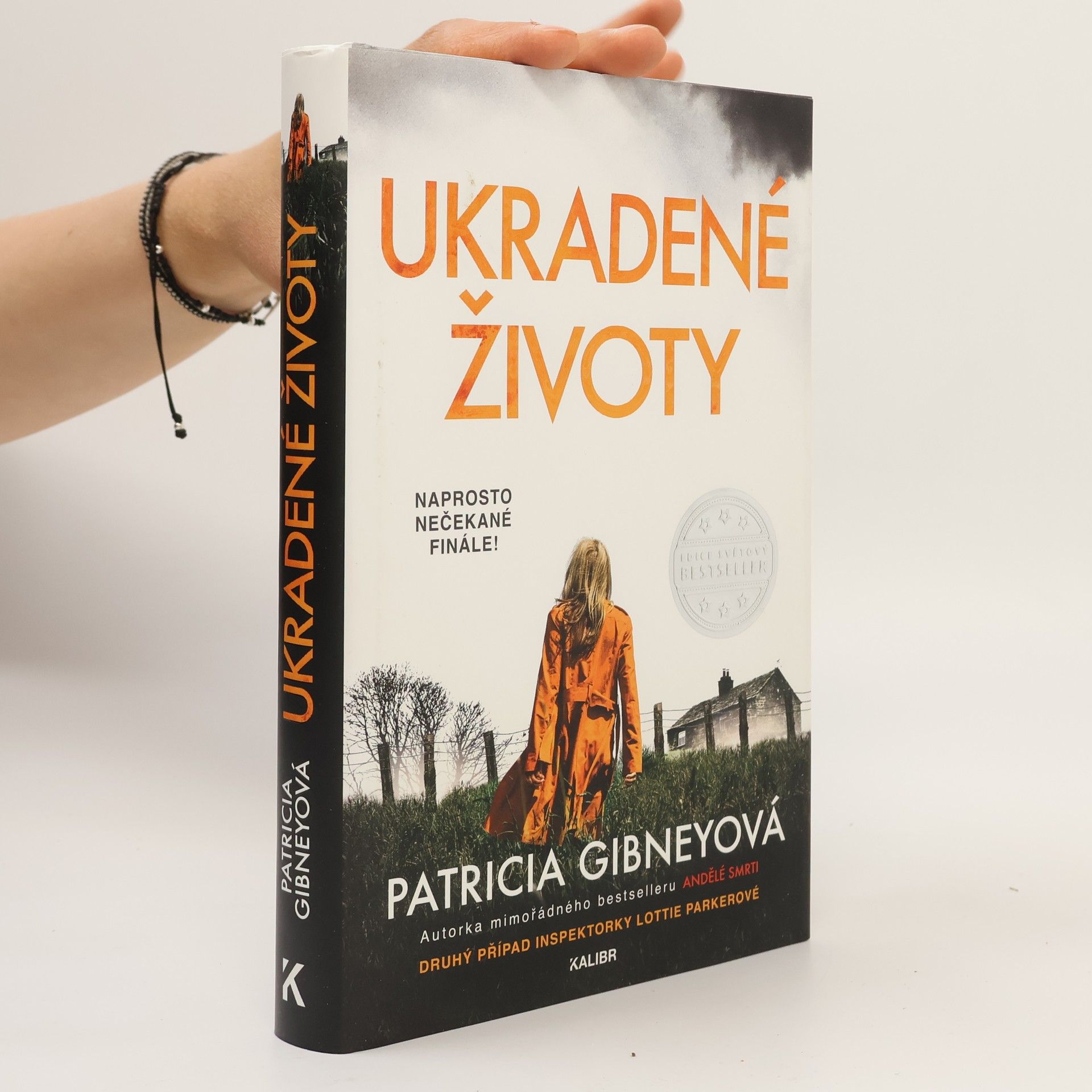 Patricia Gibney Ukradené životy