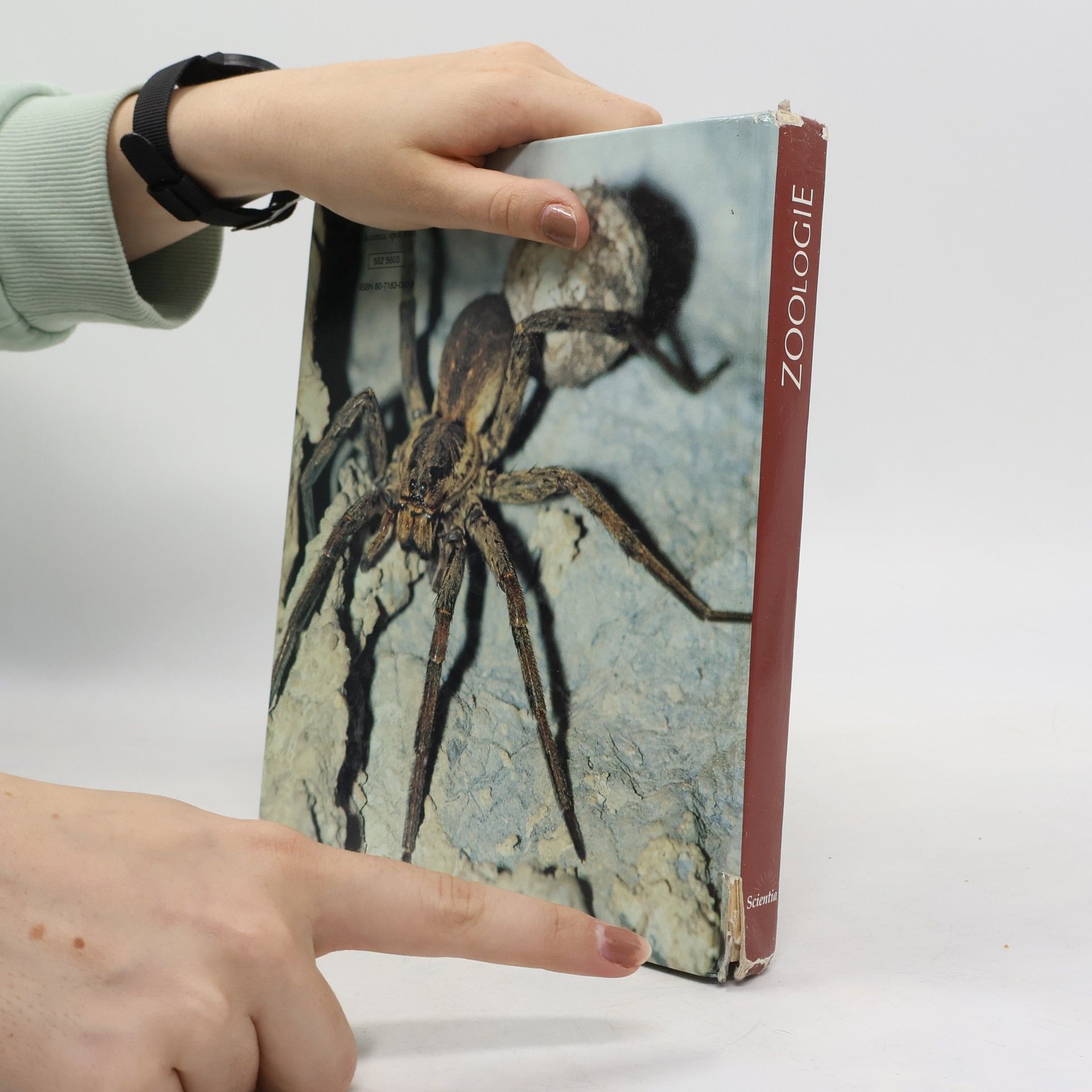 Miroslav Papáček Zoologie