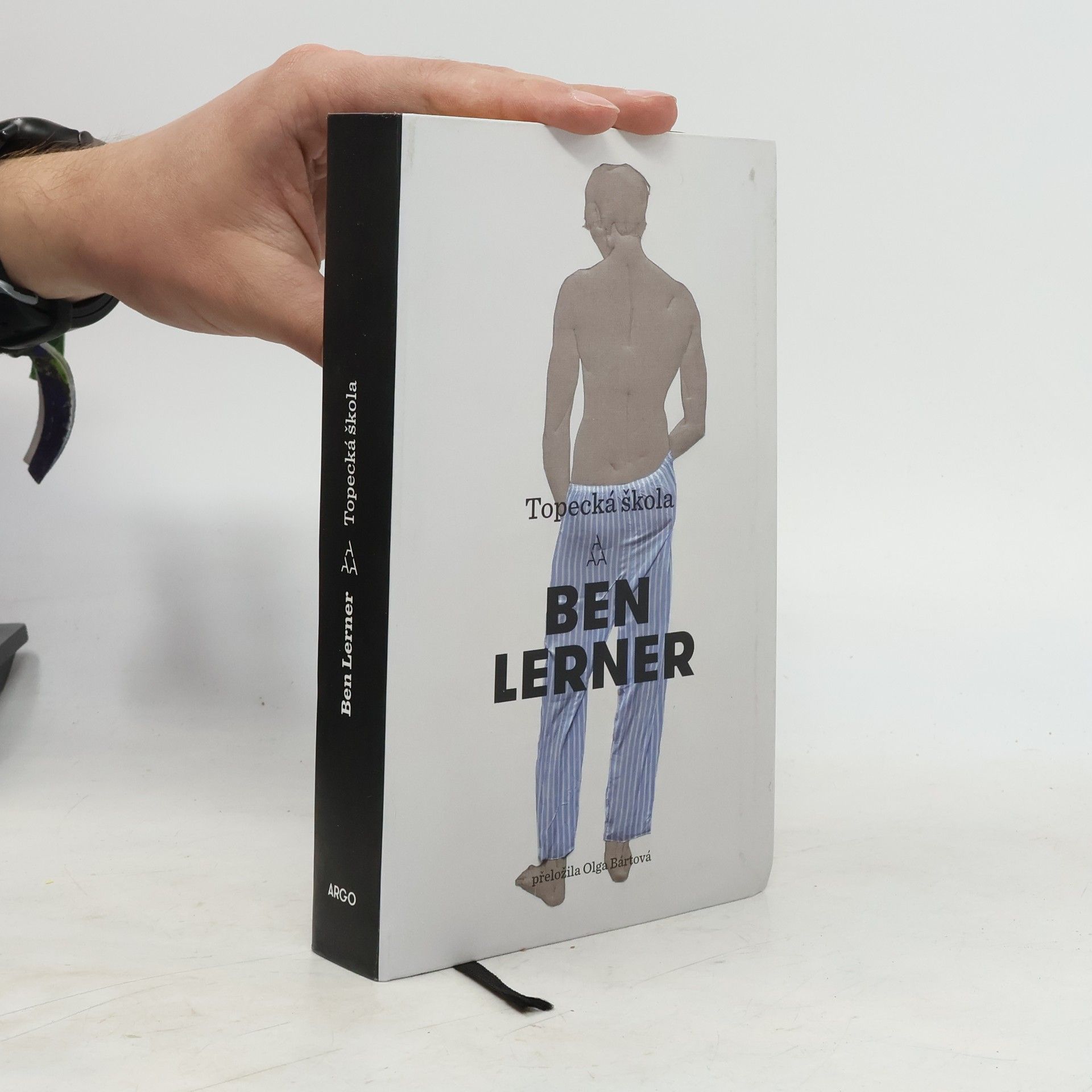 Ben Lerner Topecká škola