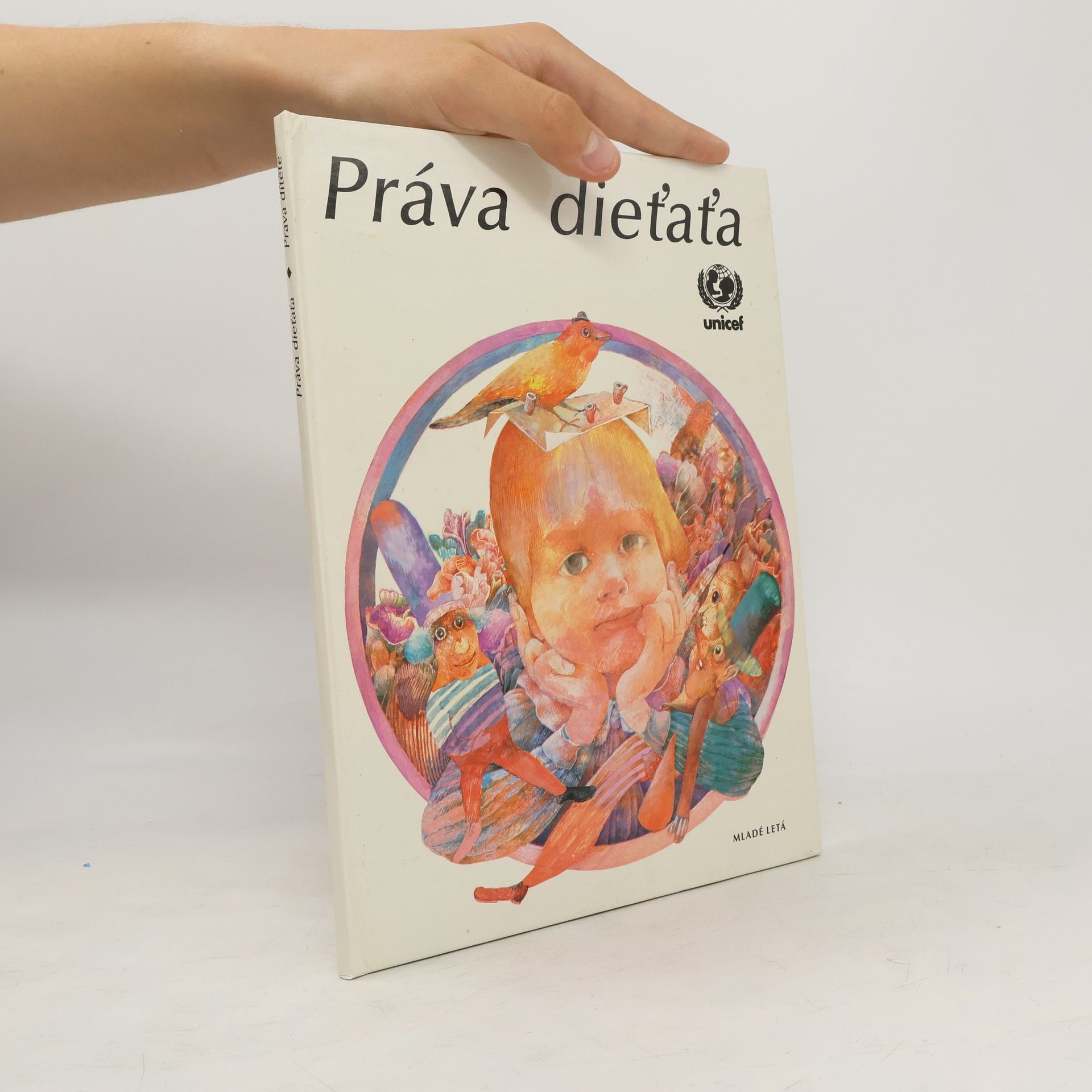 Kolektiv autorů Práva dieťaťa / Práva dítěte