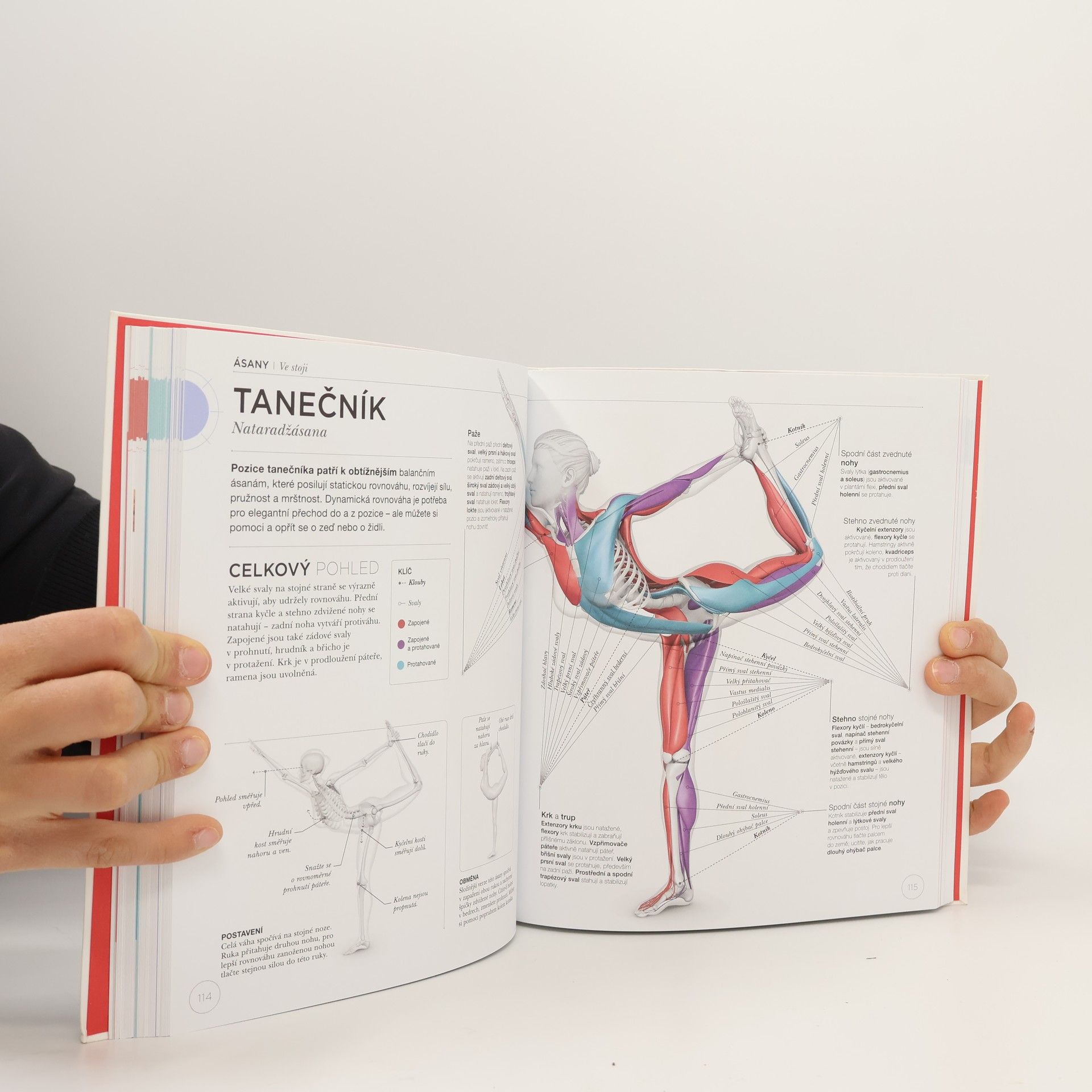 Ann Swanson Jóga z pohledu anatomie