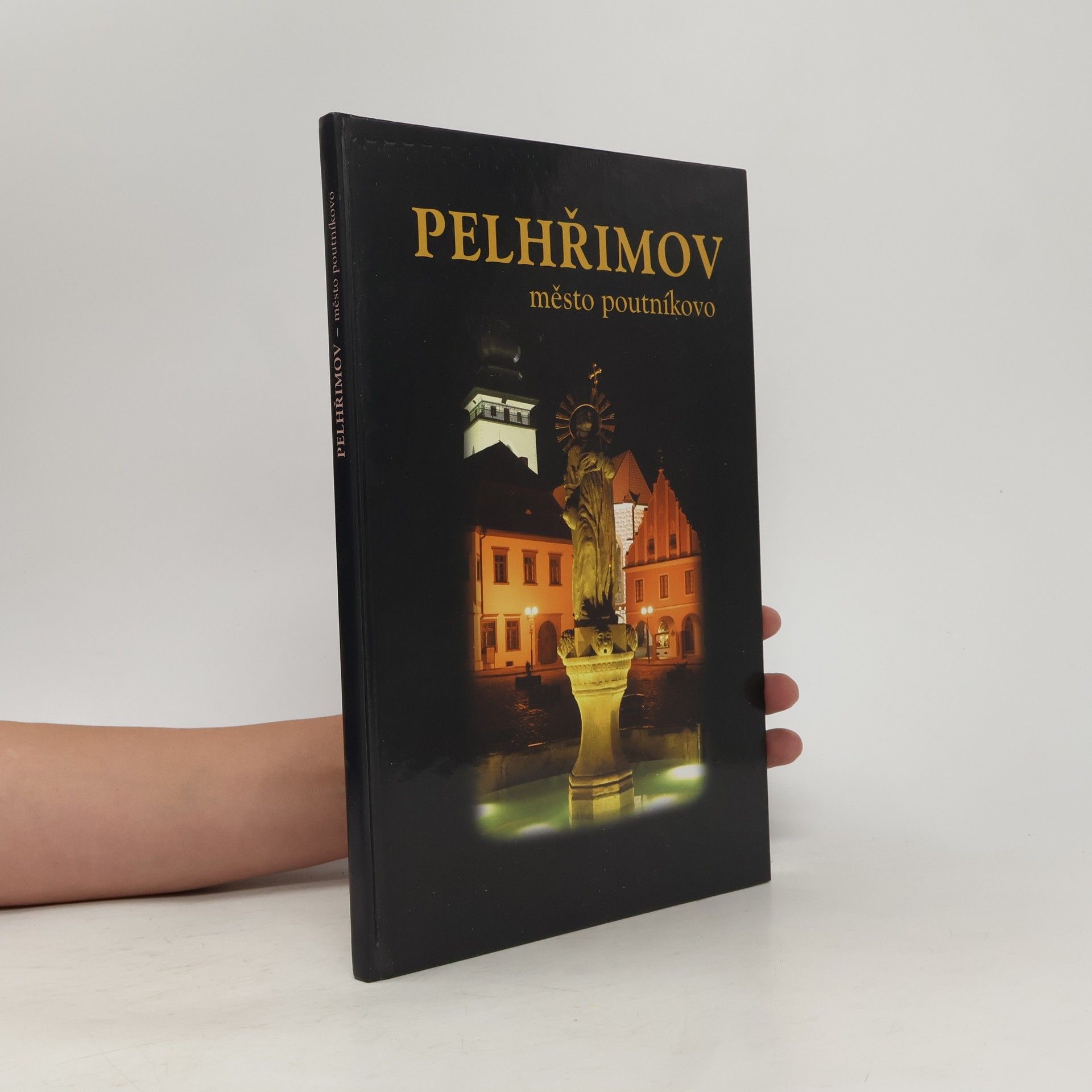 Štěpán Mikeš Pelhřimov - město poutníkovo