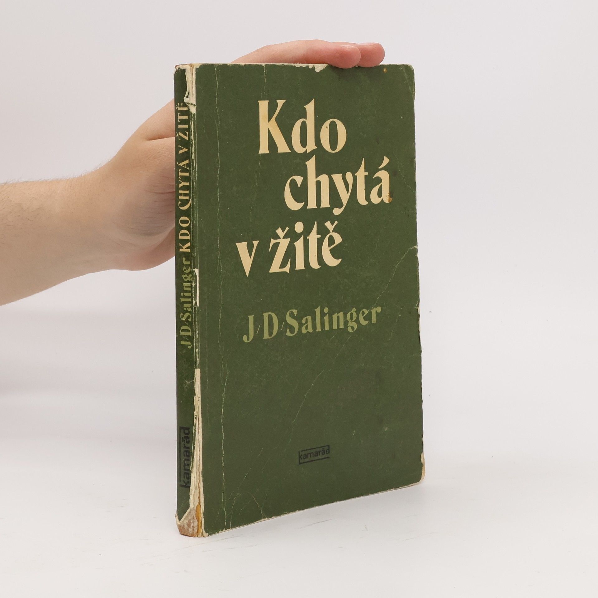 J. D. Salinger Kdo chytá v žitě